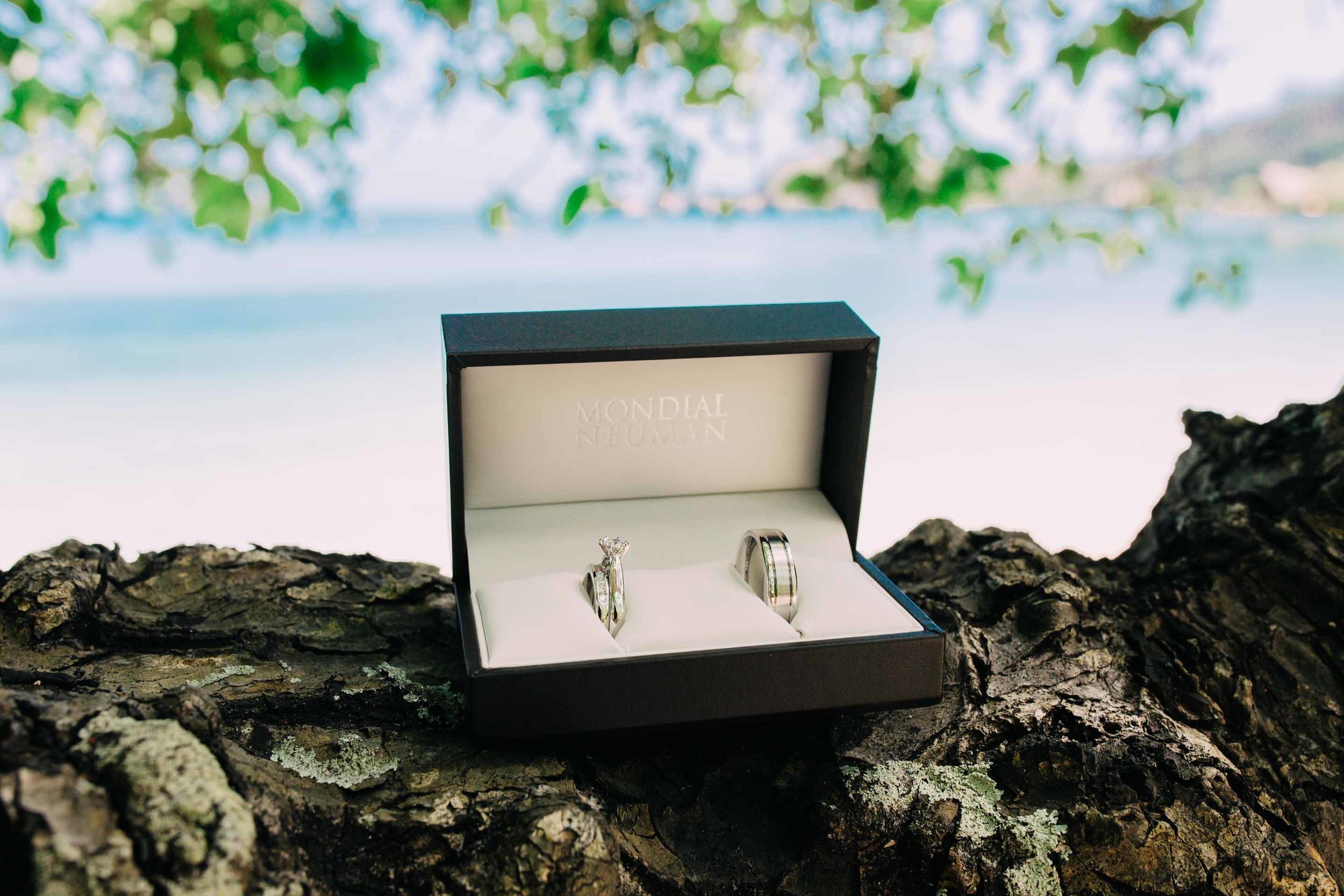 the wedding rings