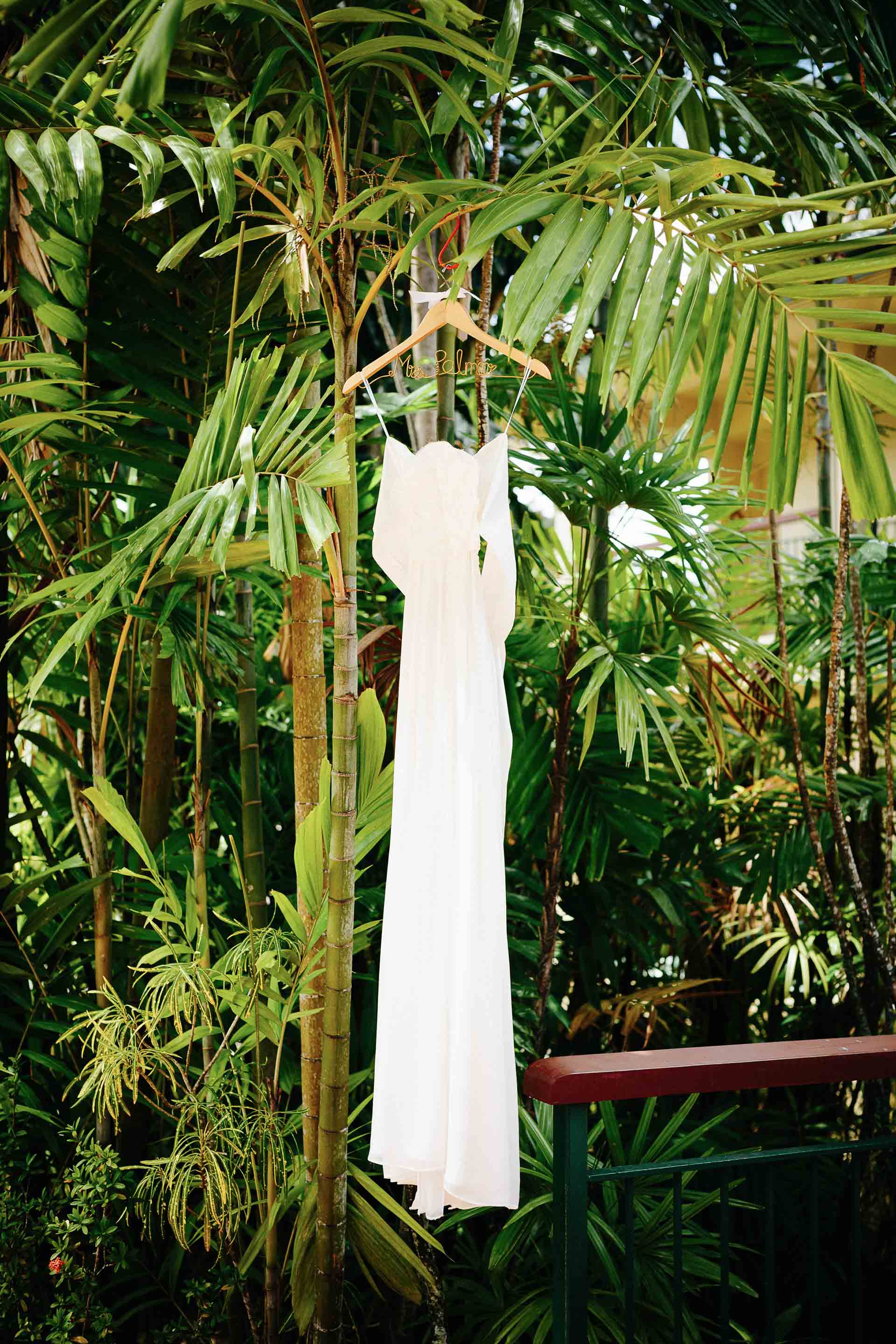 The brides dress hanging from palm fonds