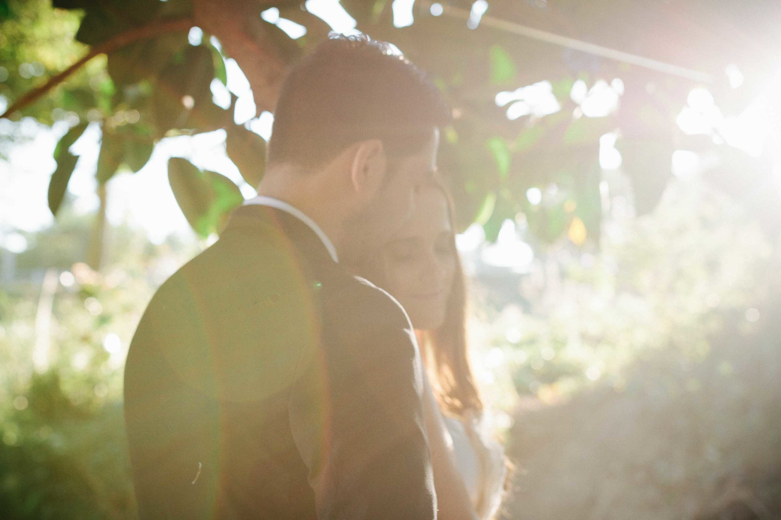 the couple under a tree hidden by a sun flare