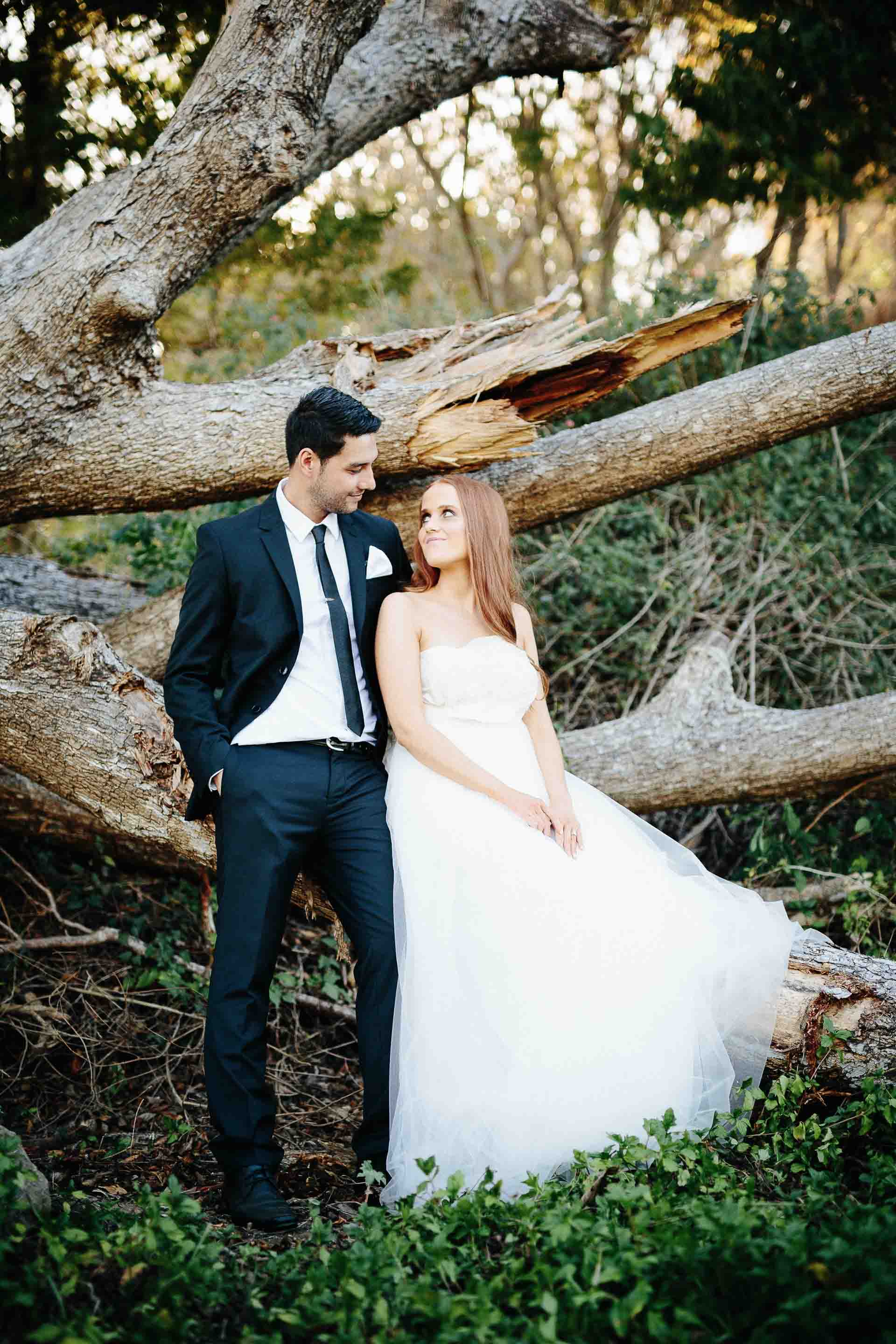 the couple posing on a fallen tree