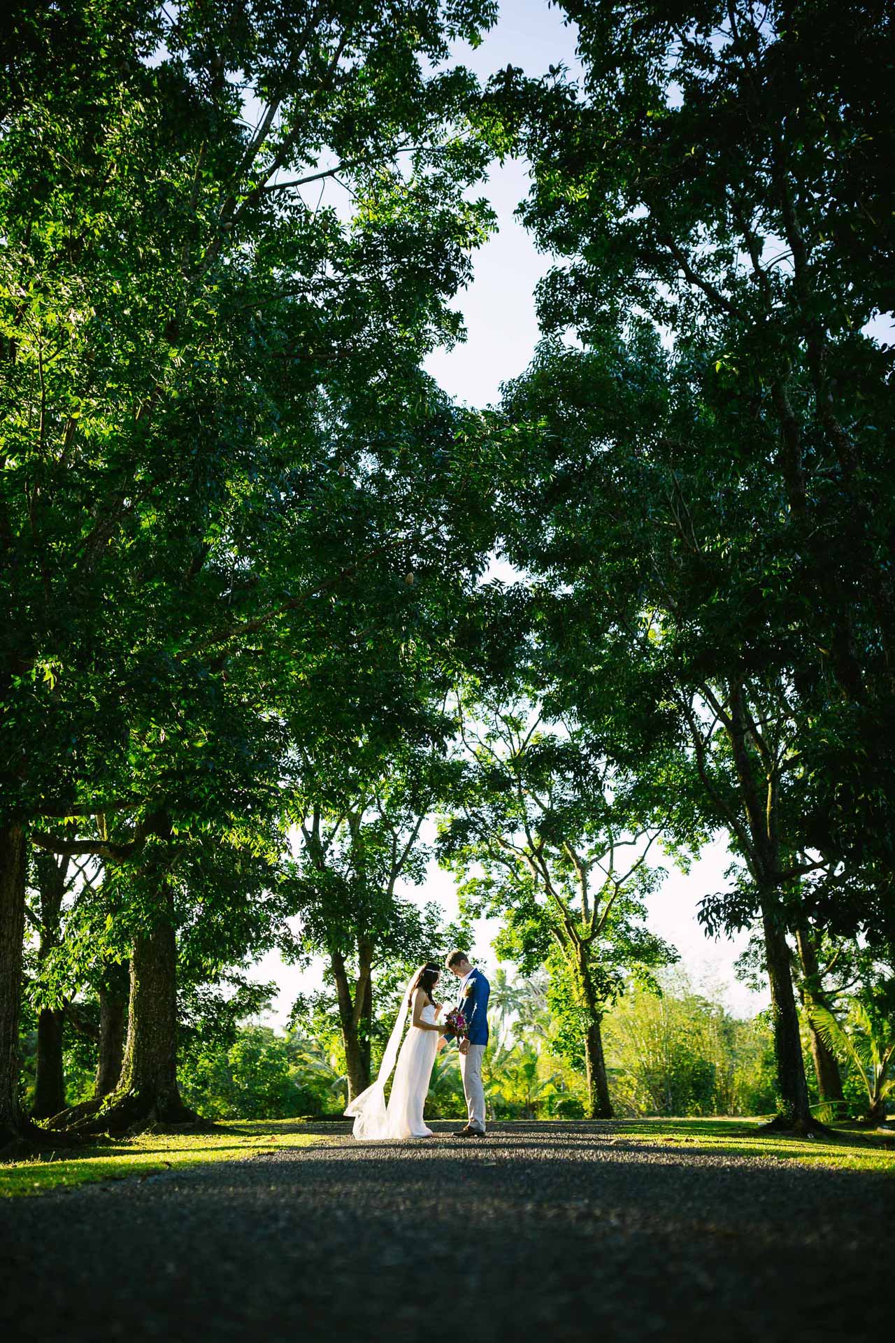 the couple at the end of a tree lined road