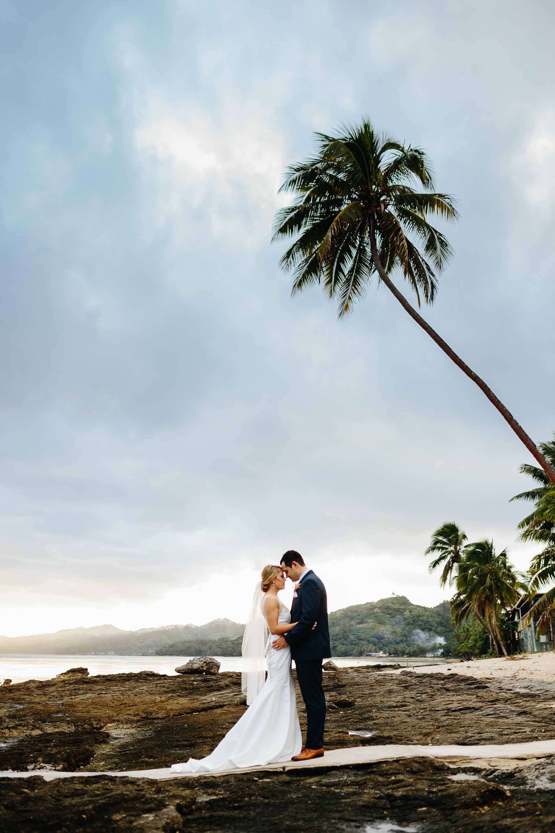 wedding couple on the beach with a coconut tree