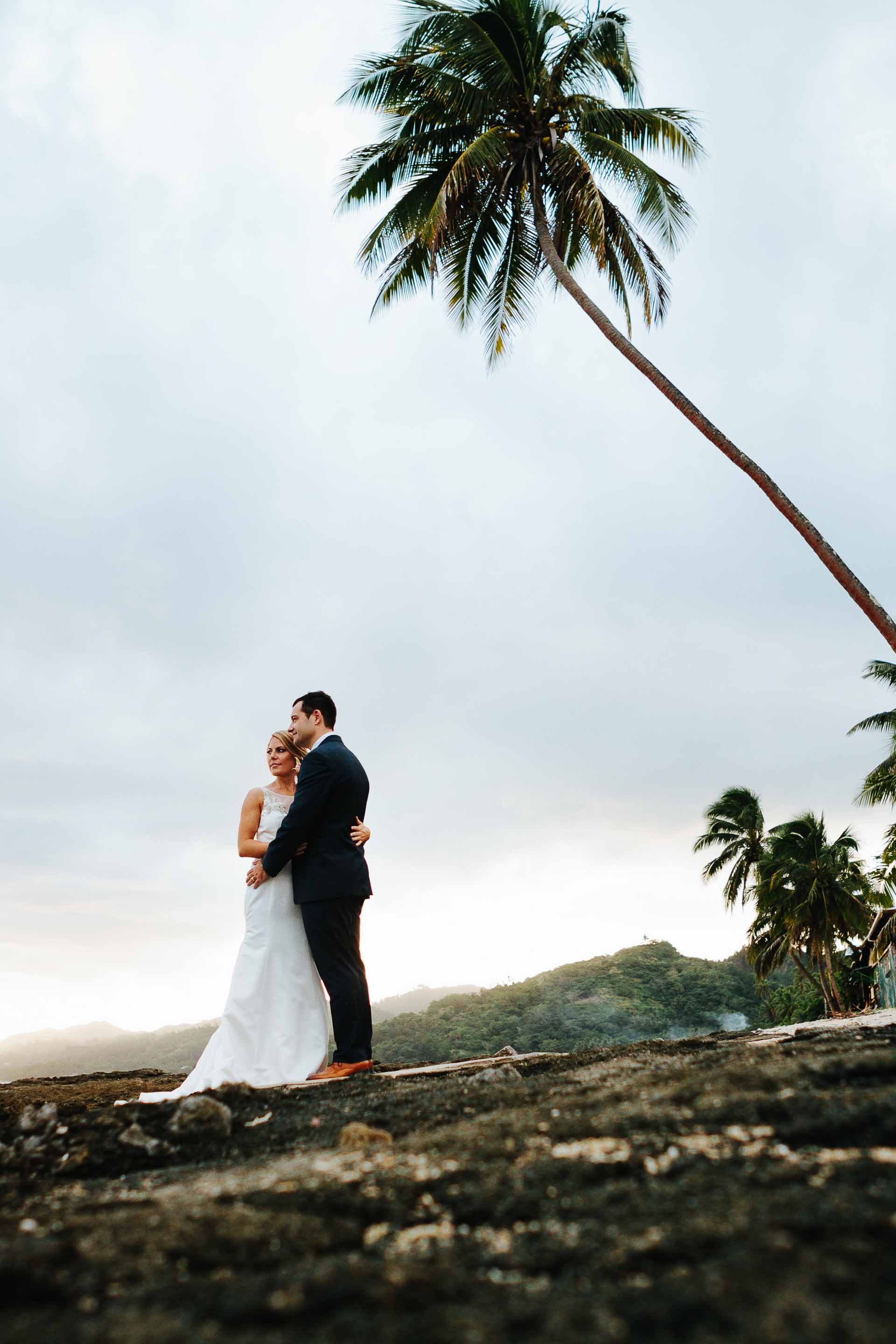 wedding couple on the beach with a coconut tree