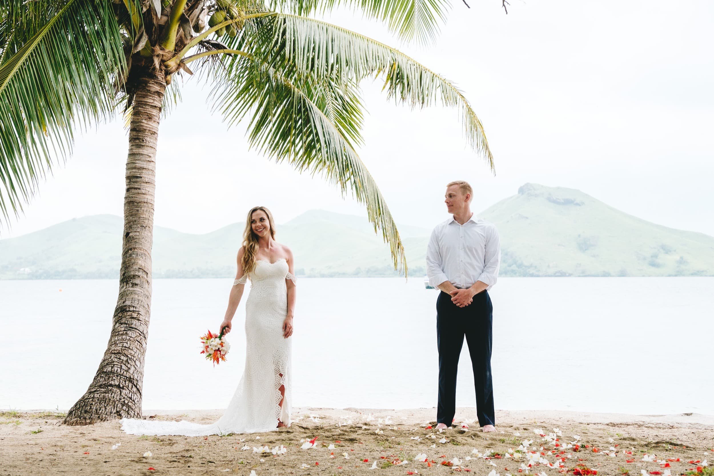 Coconut Tree Fiji