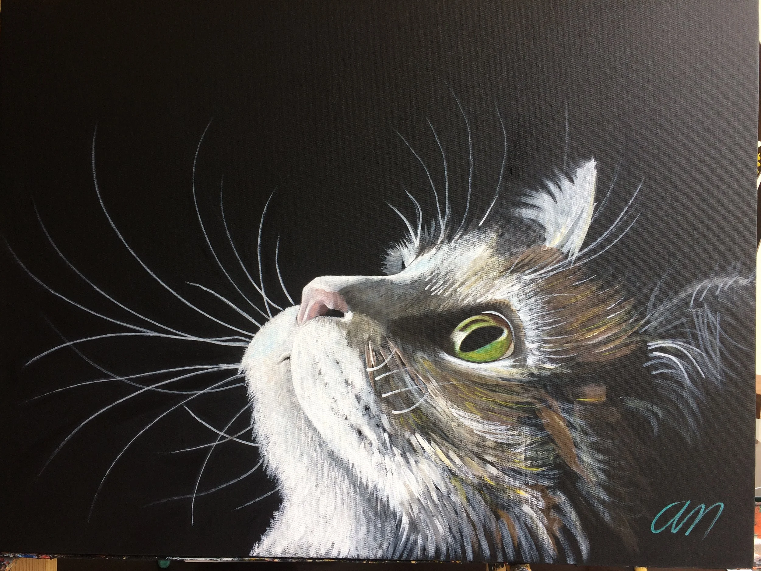 Titulo: "Bigotón" (No disponible)