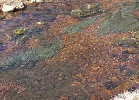 Inspirational stream in Wisconsin.