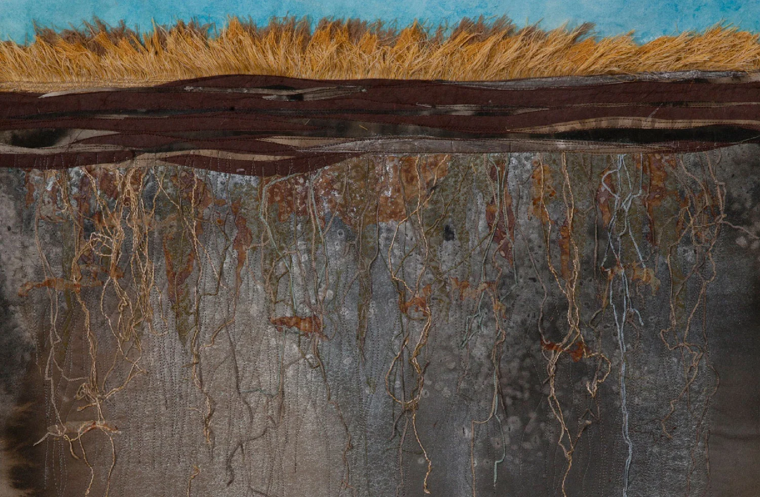 soil-horizon-roots-blue-sky-golden-grass-web-res.jpg