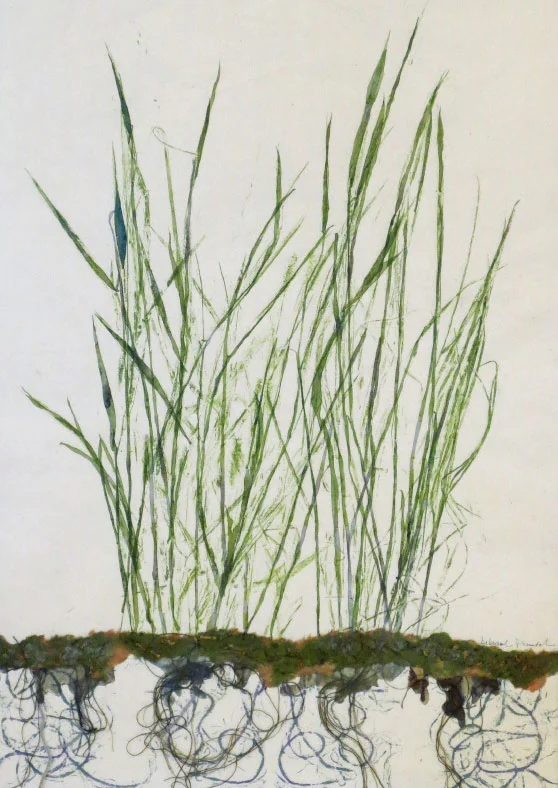 Rooted Grasses, 20”x16”mixed media art. Native grasses send deep roots. A mixed media and mono print made with plants.