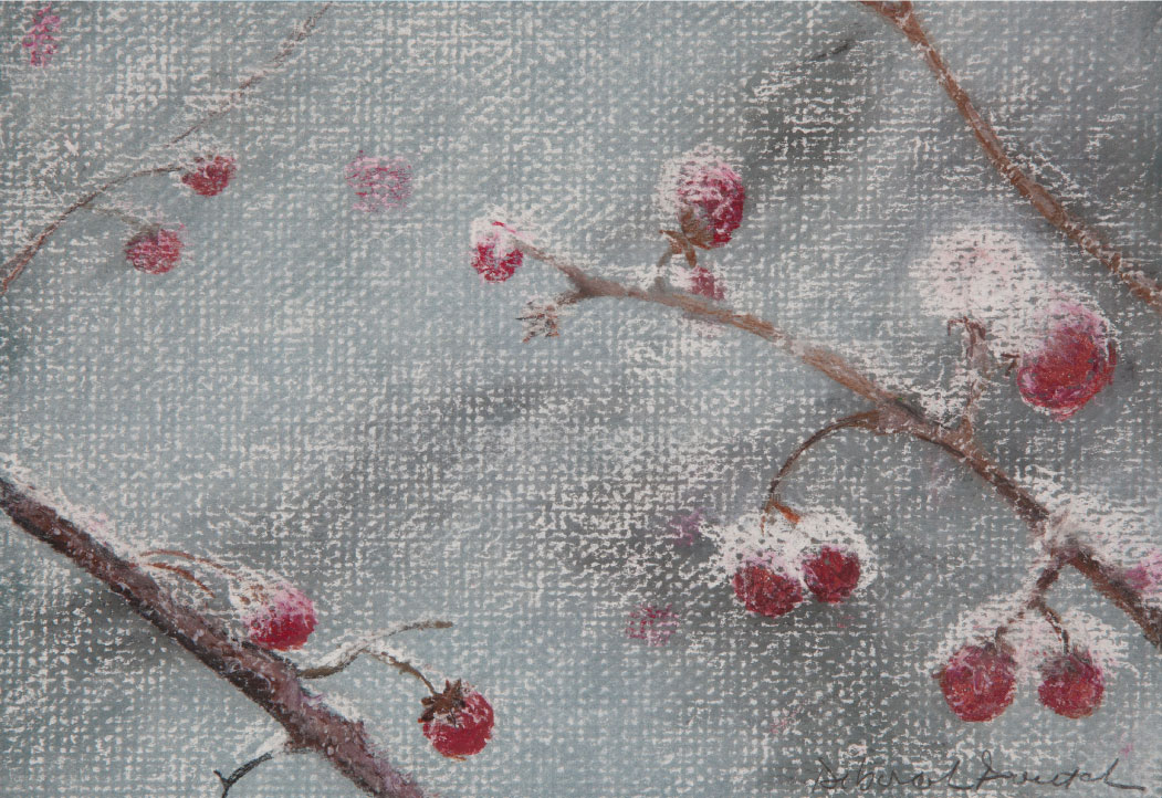 Winter Berries. 12”x14” drawing. Winter plants that give us color and feed the birds that stay throughout the season.