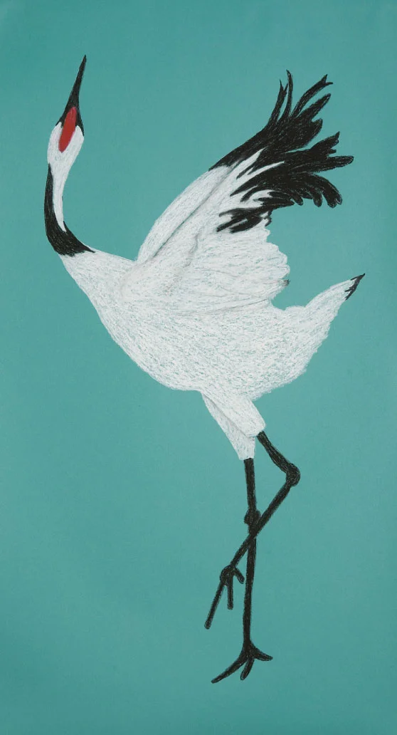 Crane Dance. 48”x26” drawing. The graceful crane dances.