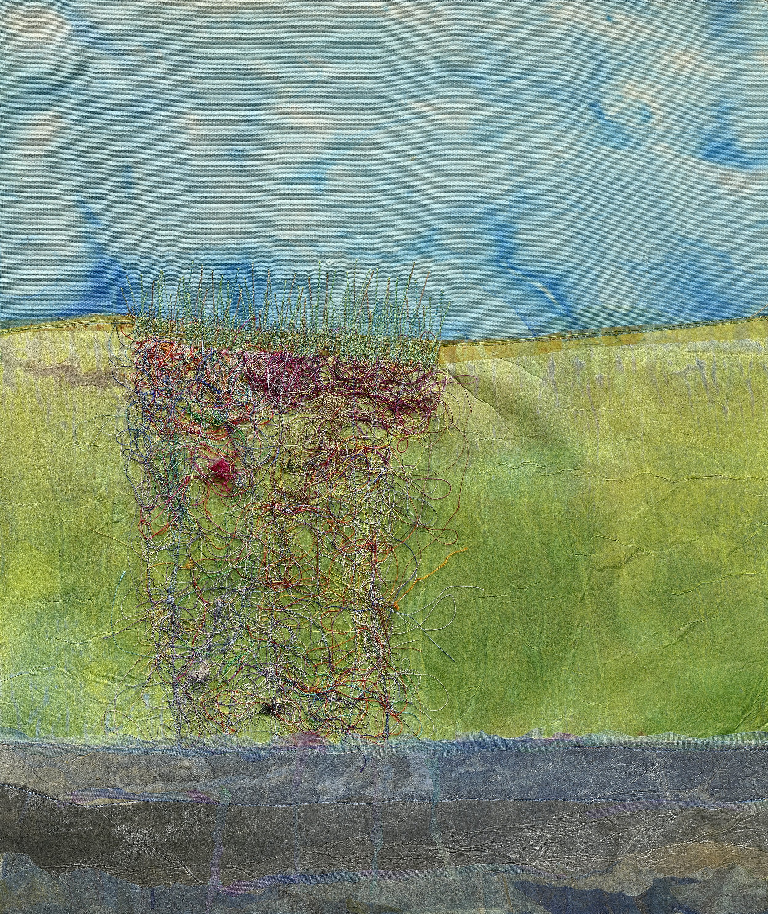 Q2c)plants roots groundwater.jpg