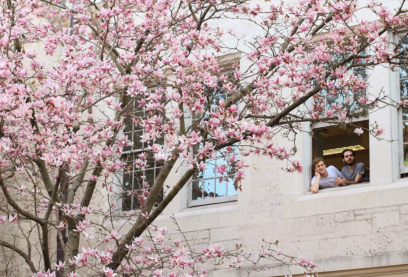 The University of Texas at Austin