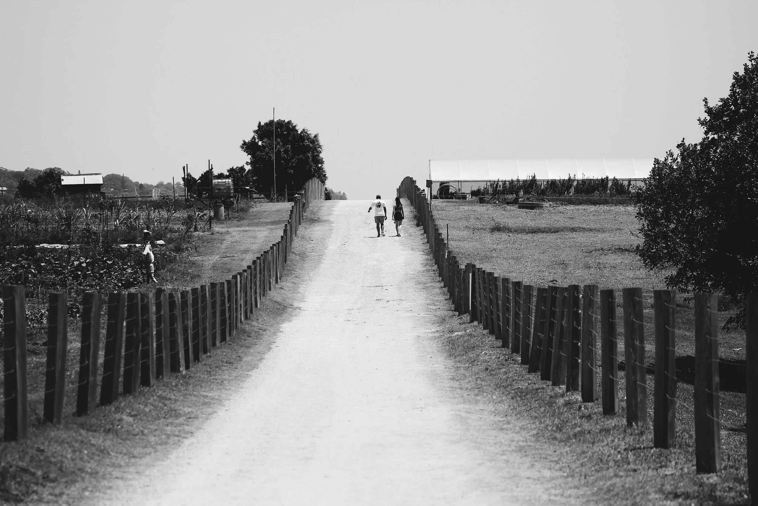 The Farm at Byron Bay