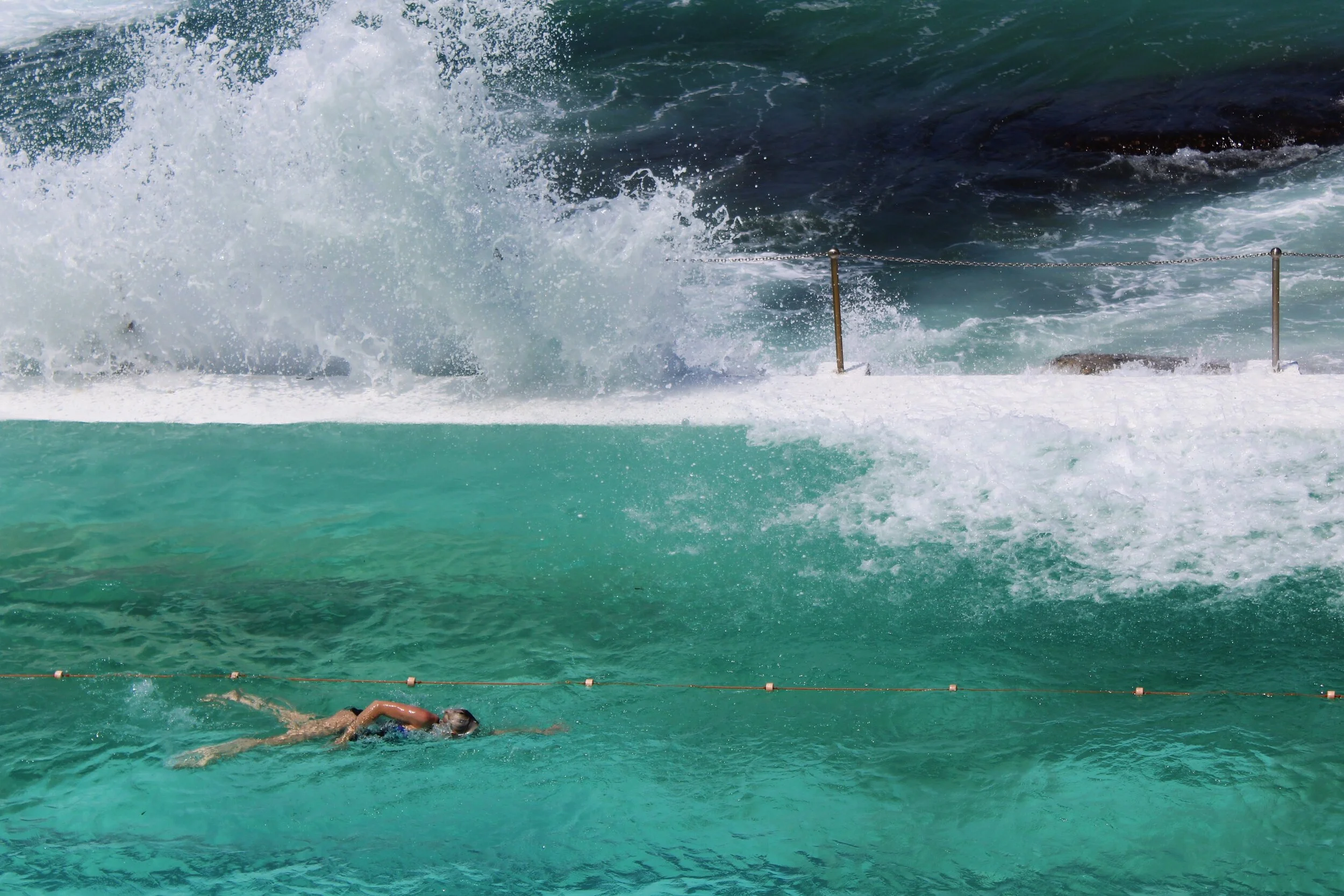 Bondi Icebergs