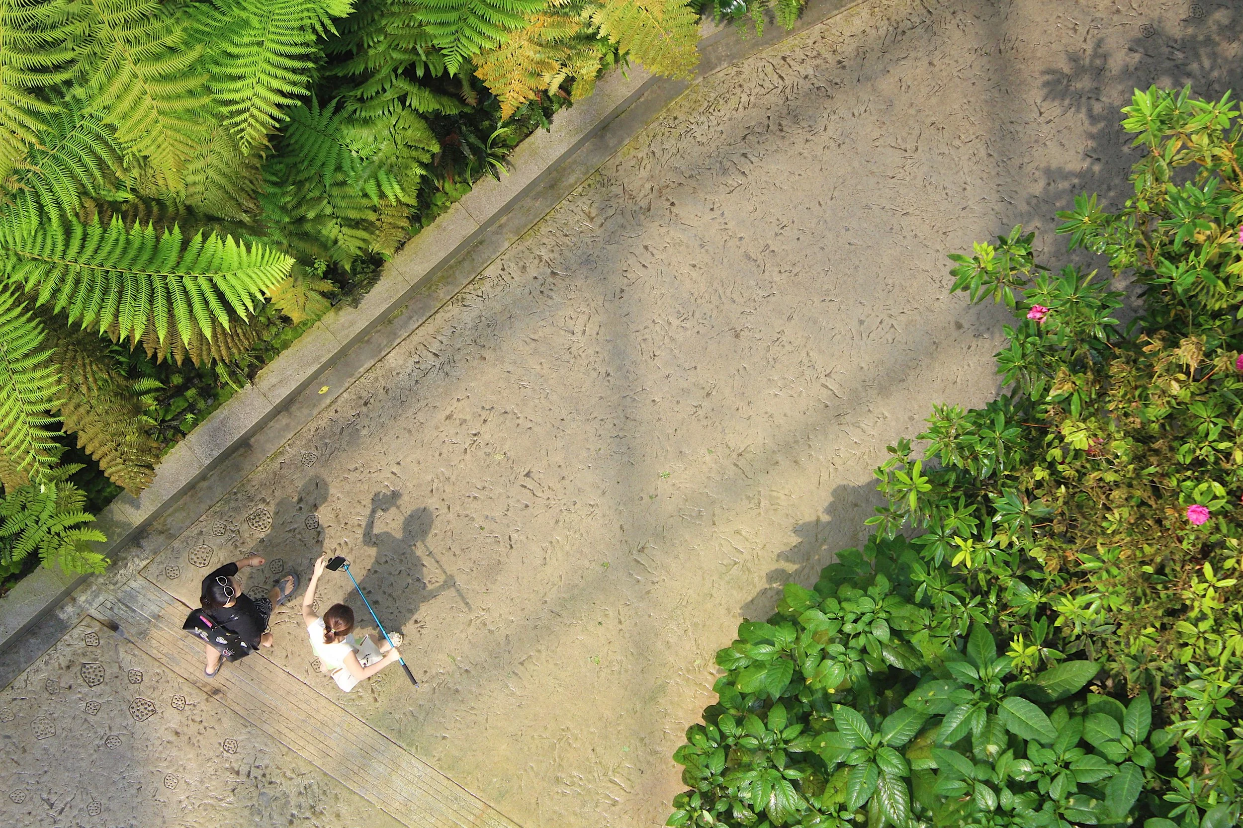 Gardens by the Bay