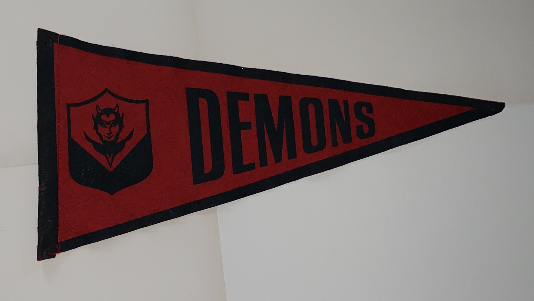 1950’s felt pennant