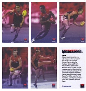 2008Cardssmaller.jpg