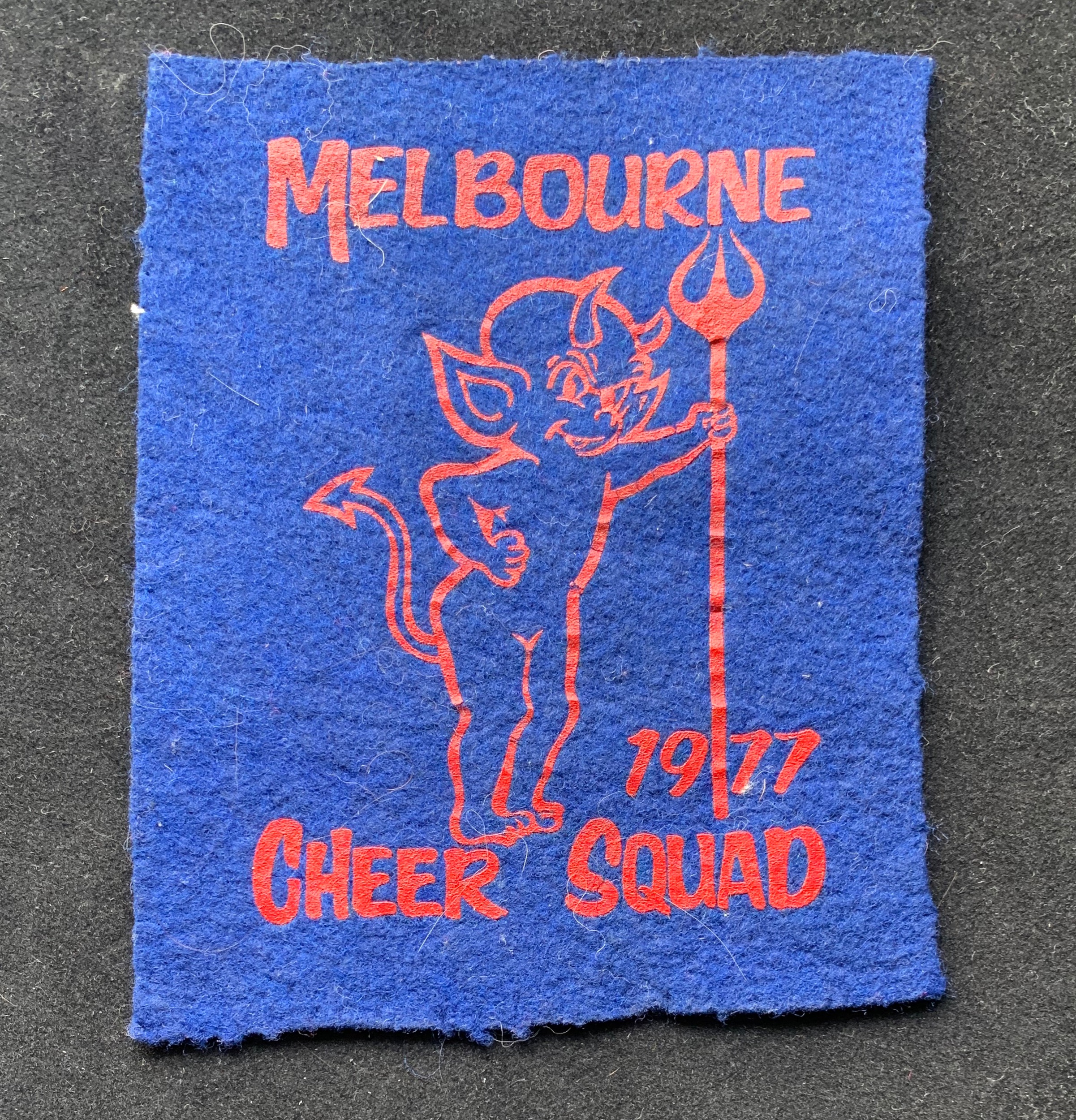 1977 Cheer Squad