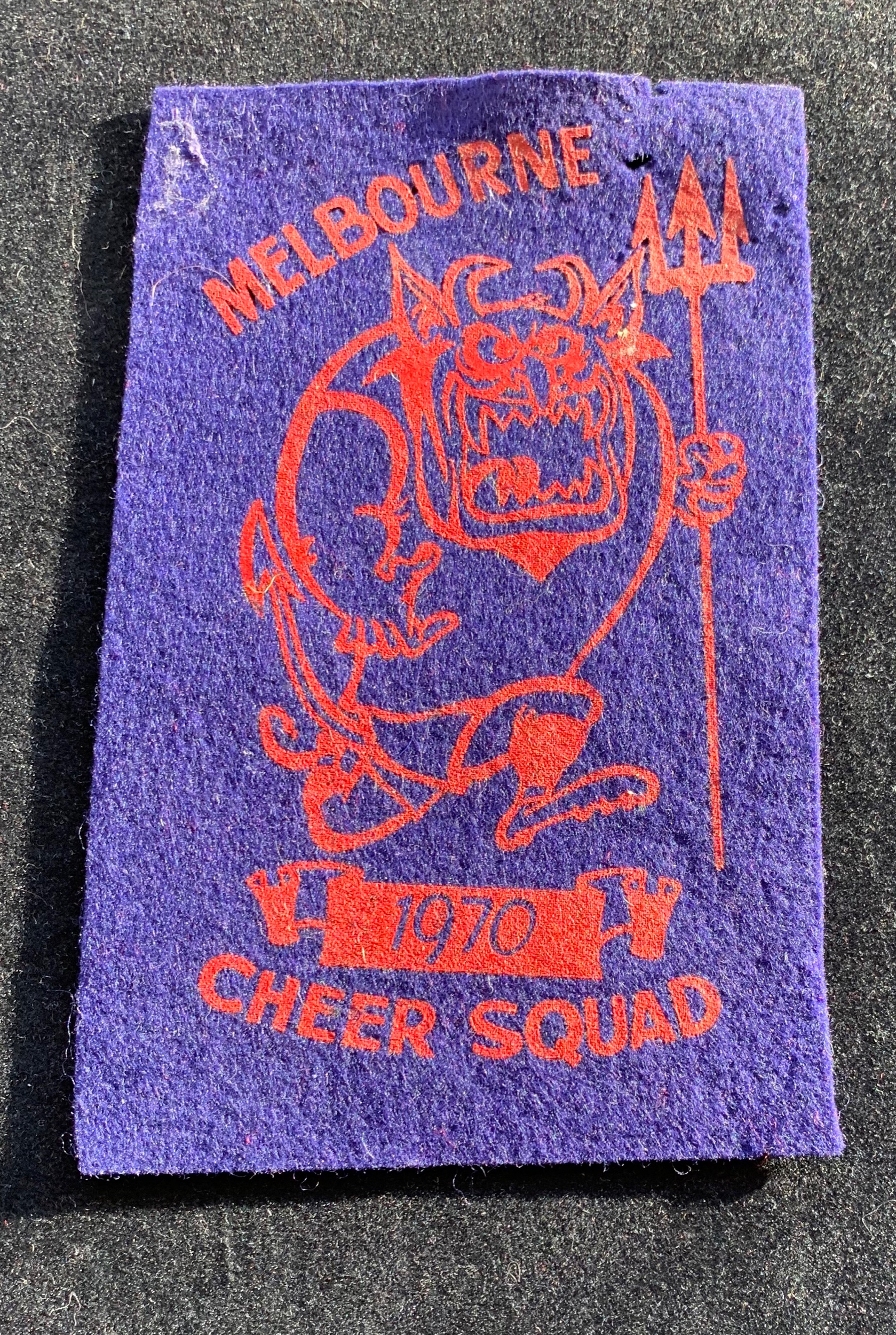 1970 Cheer Squad