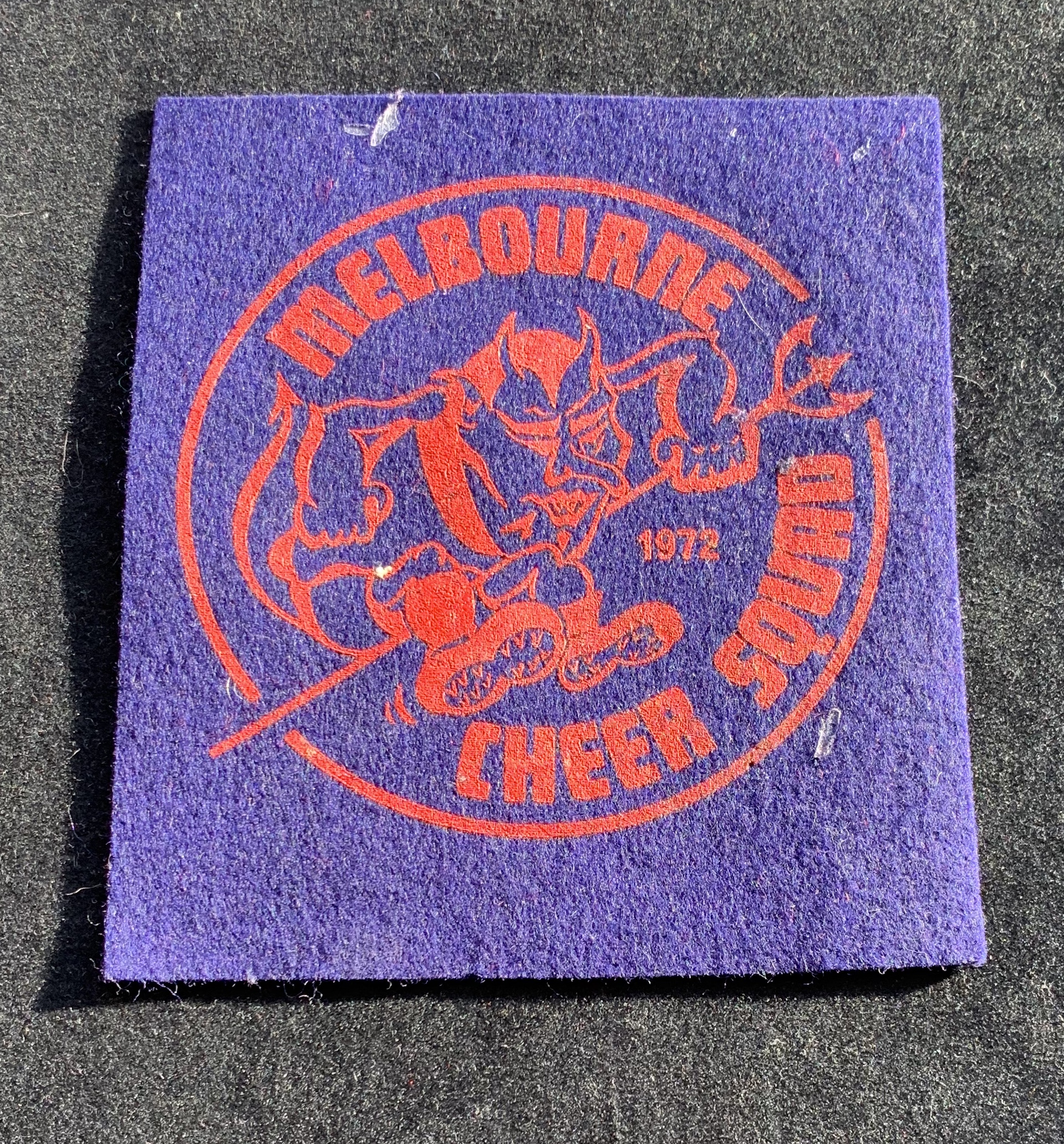 1972 Cheer Squad