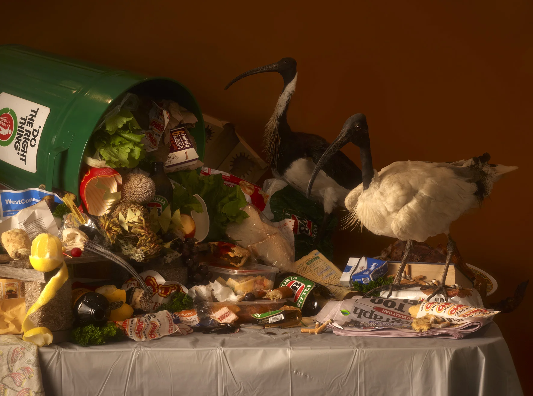 Jasmine Poole, Memento Mori, Mate. (Still Life With Ibis) , pigment print on etching rag, 76x56cm