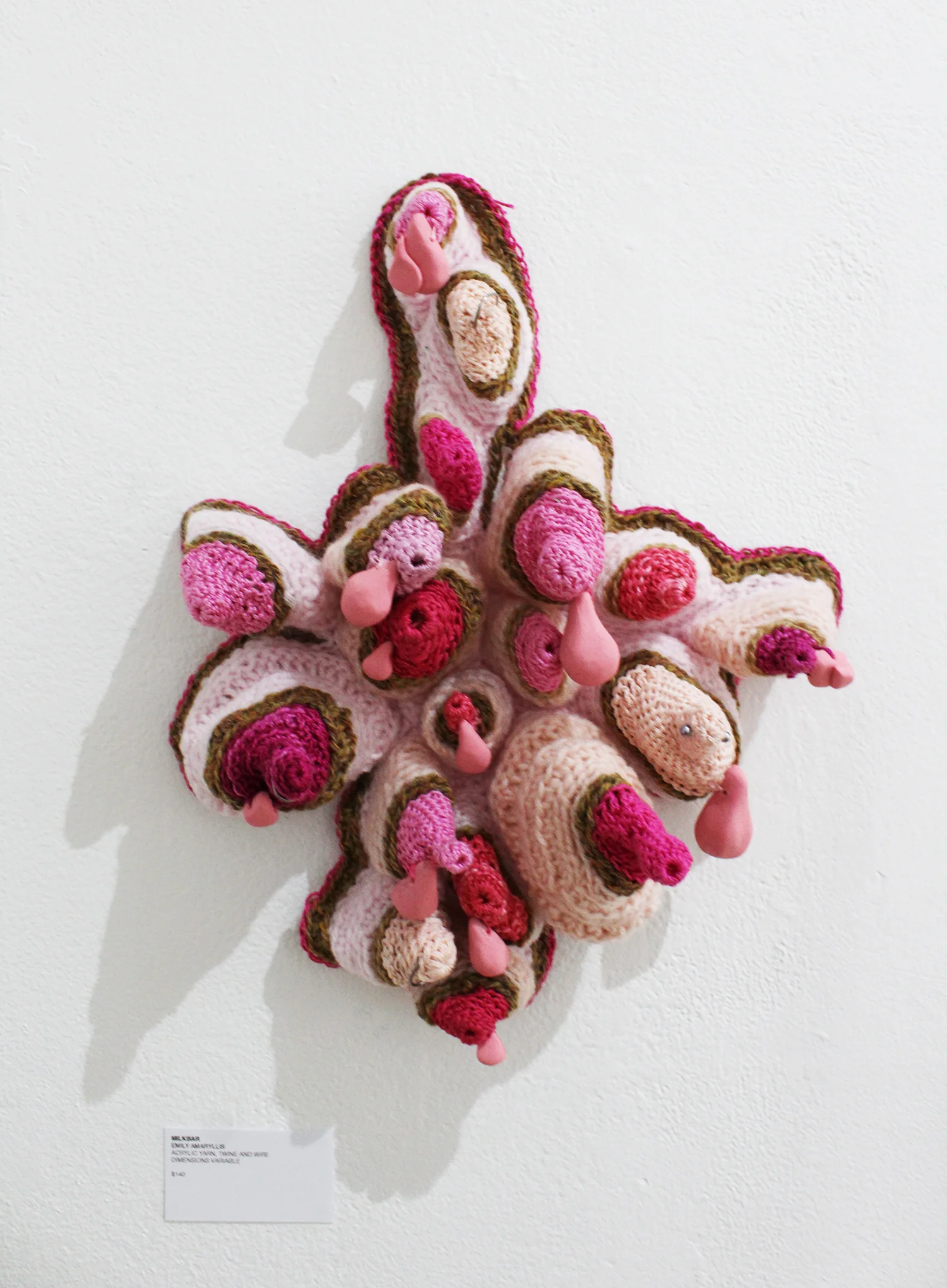 Emily Amaryllis, Milkbar , acryllic yarn, twine and wire, dimensions variable
