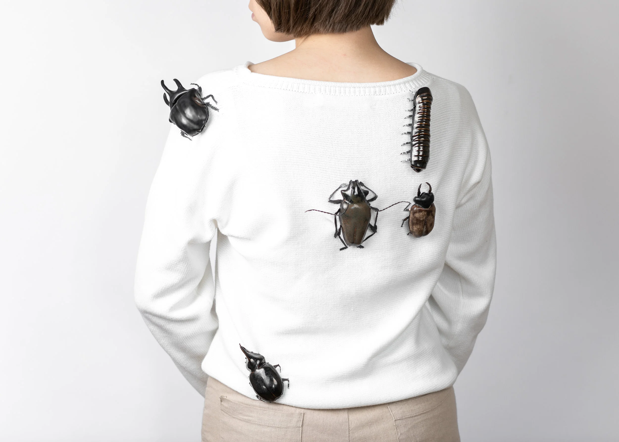 Coleoptera_image 2_high.jpg