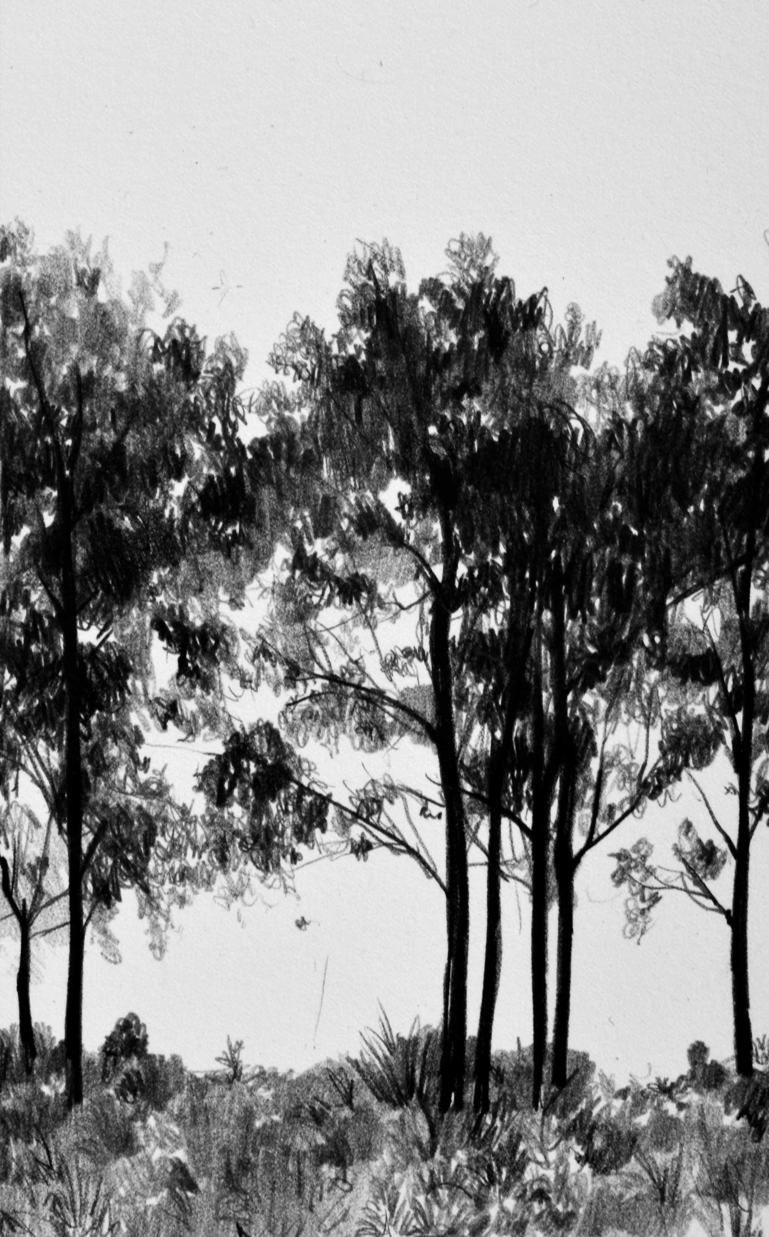 Silhouettes.JPG