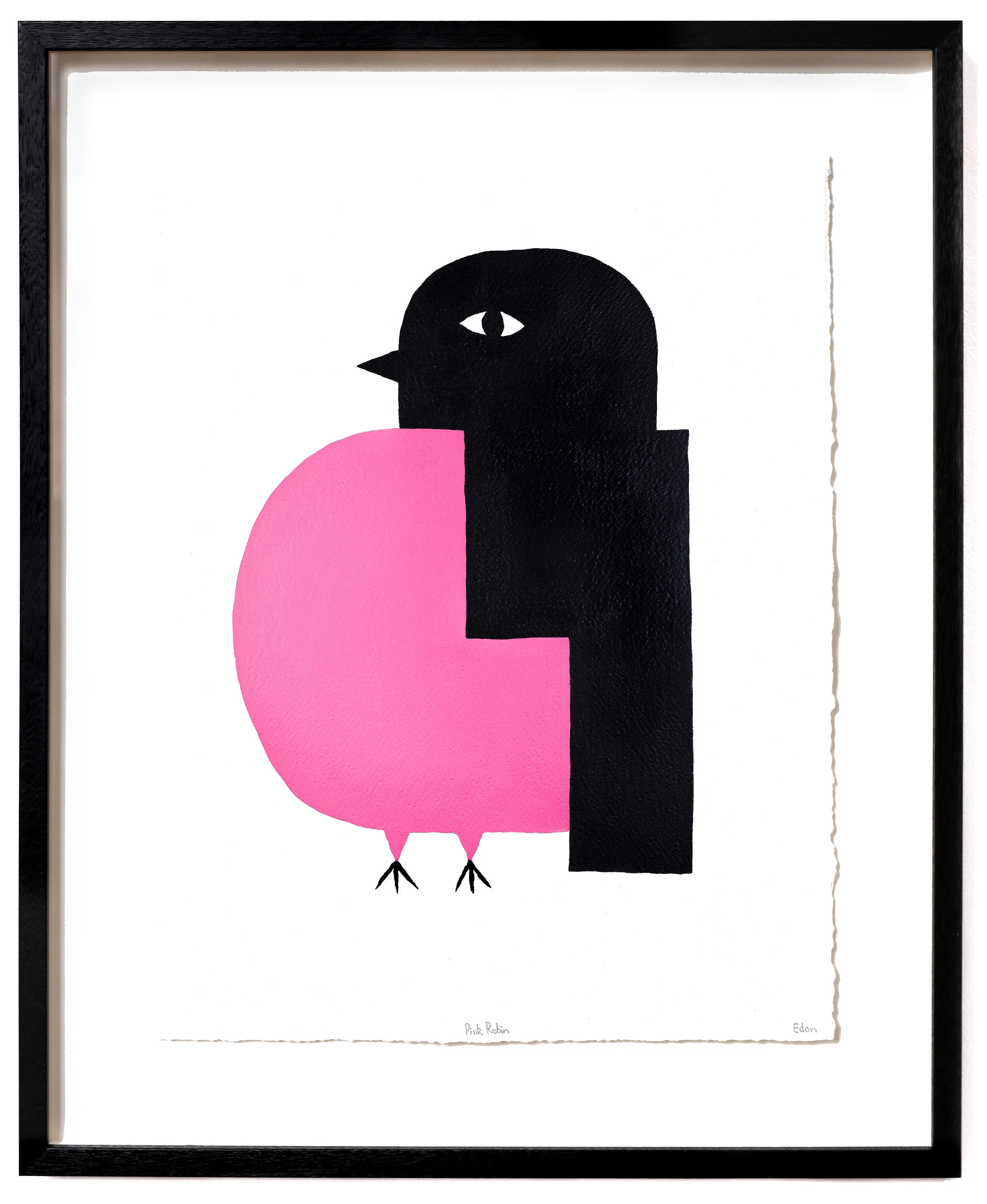 Pink Robin (framed).jpg
