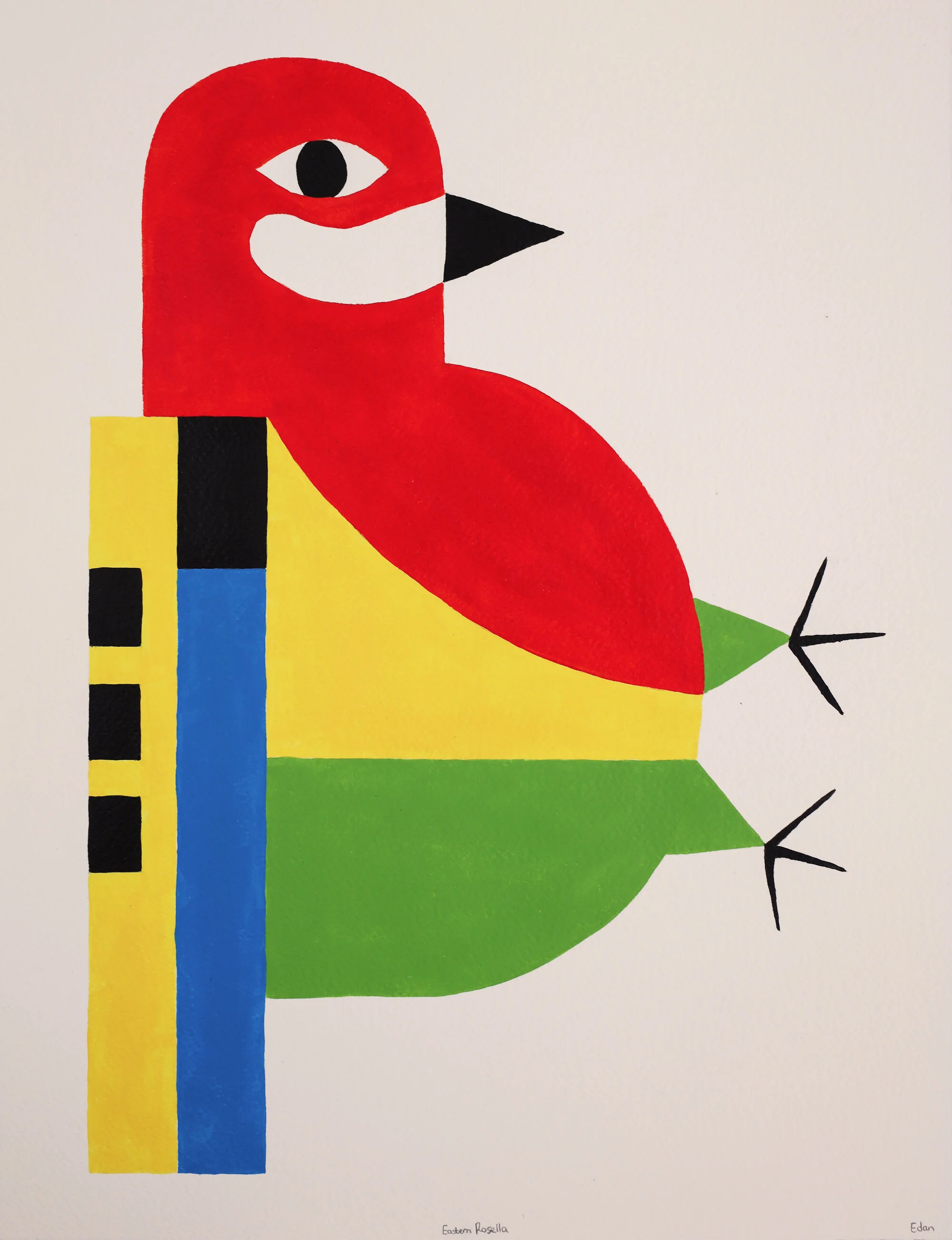 Eastern-Rosella.jpg
