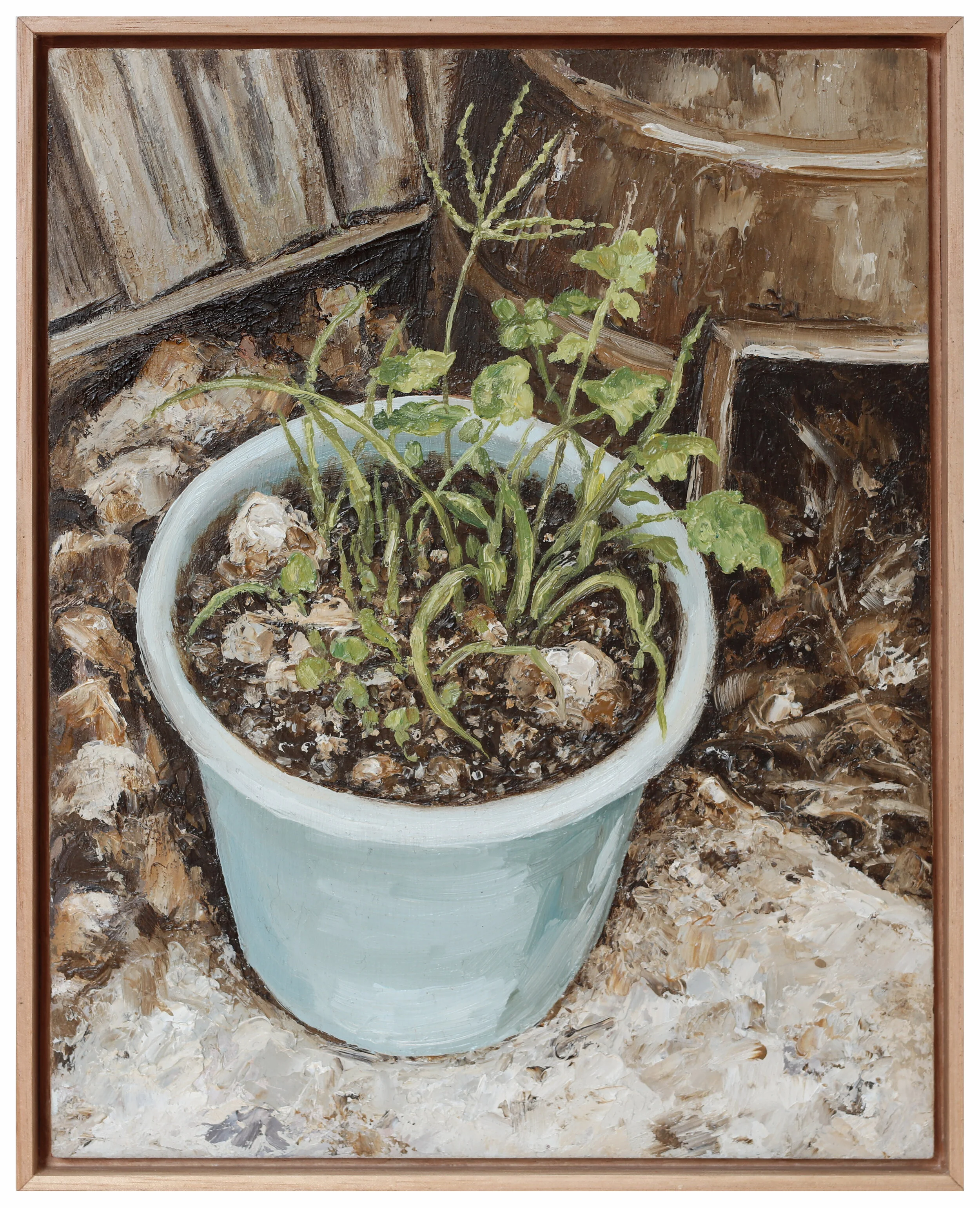 Weeds In A Bucket (main).JPG