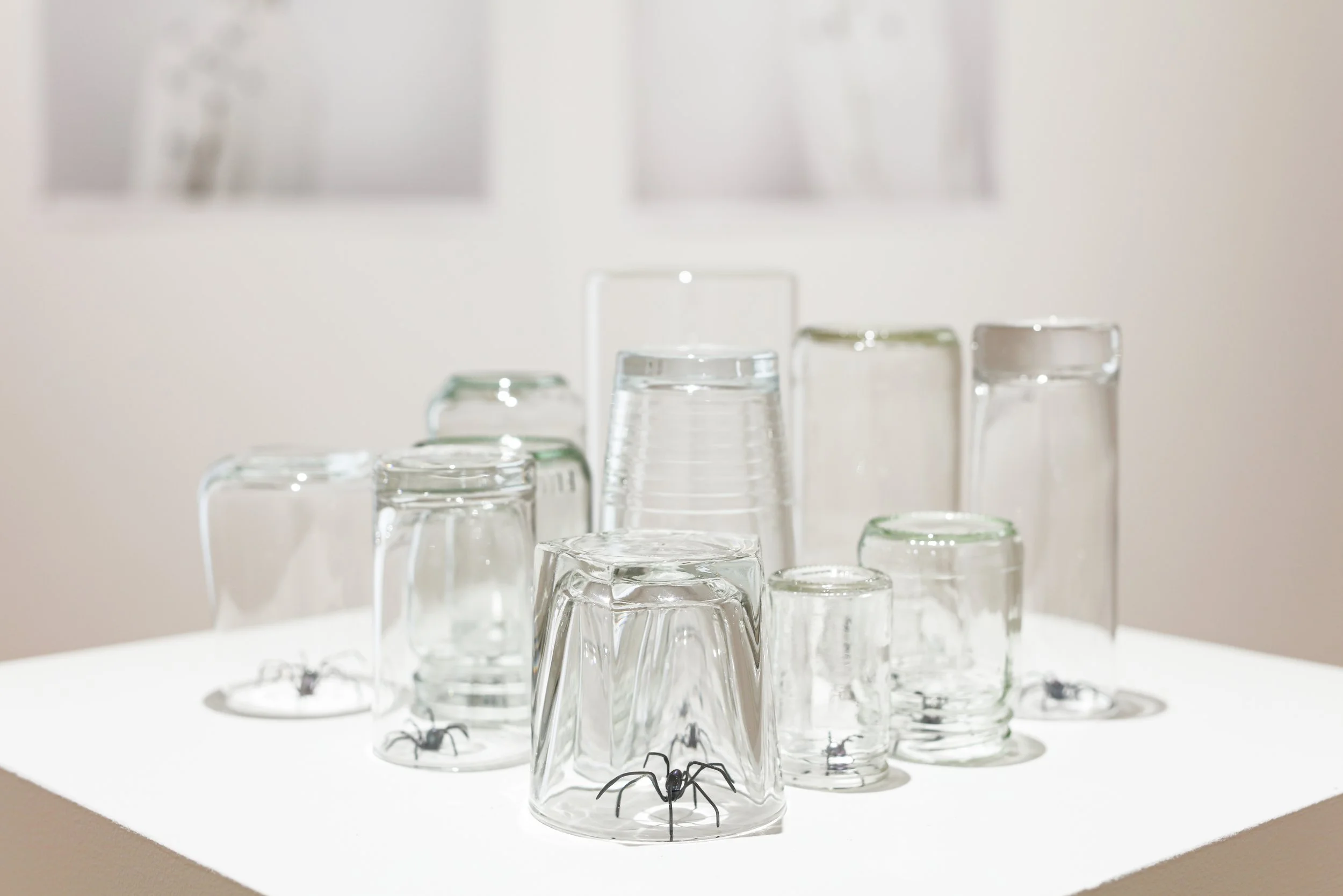 Samantha Dennis, install shot 2.JPG