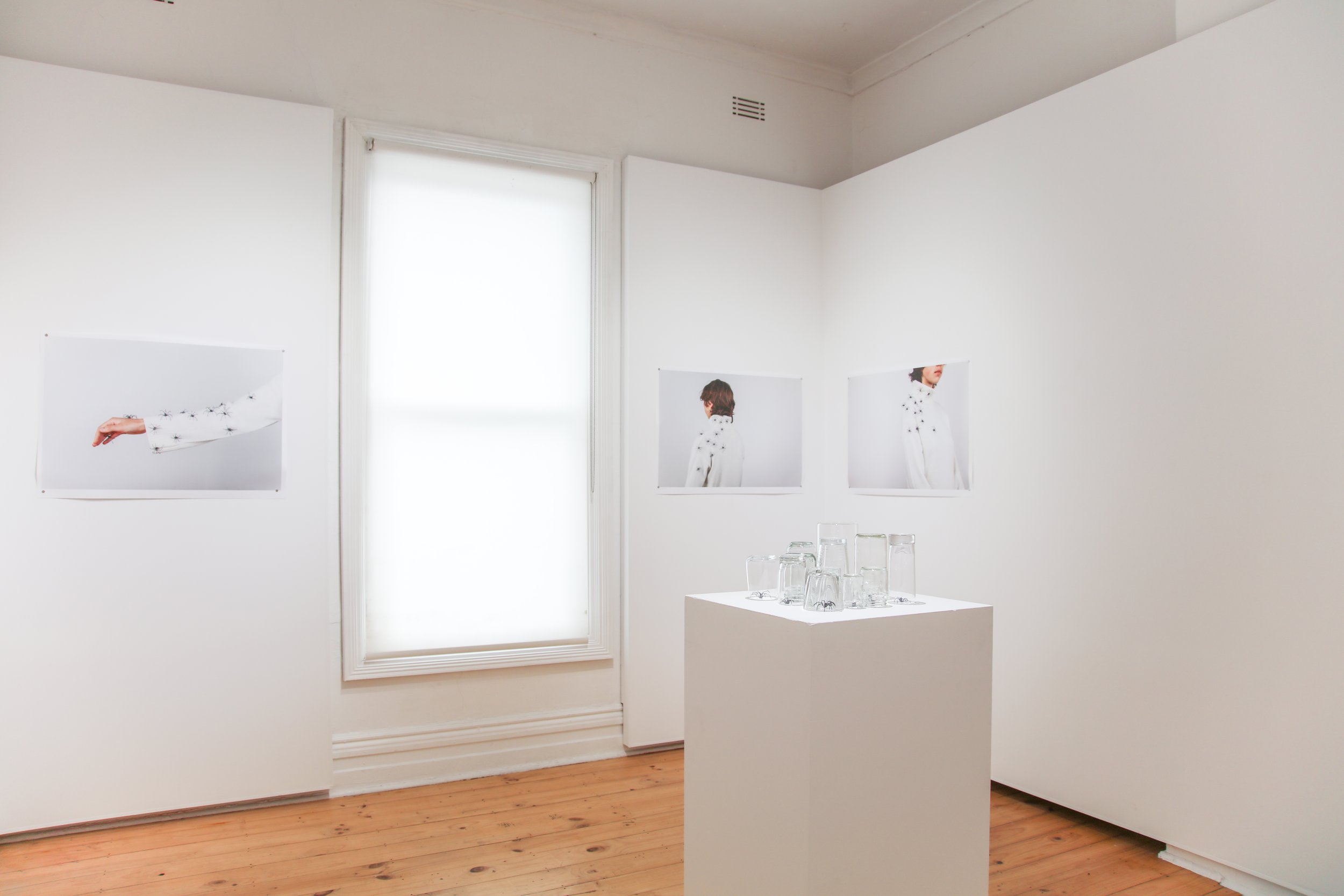 Samantha Dennis, install shot 3.JPG