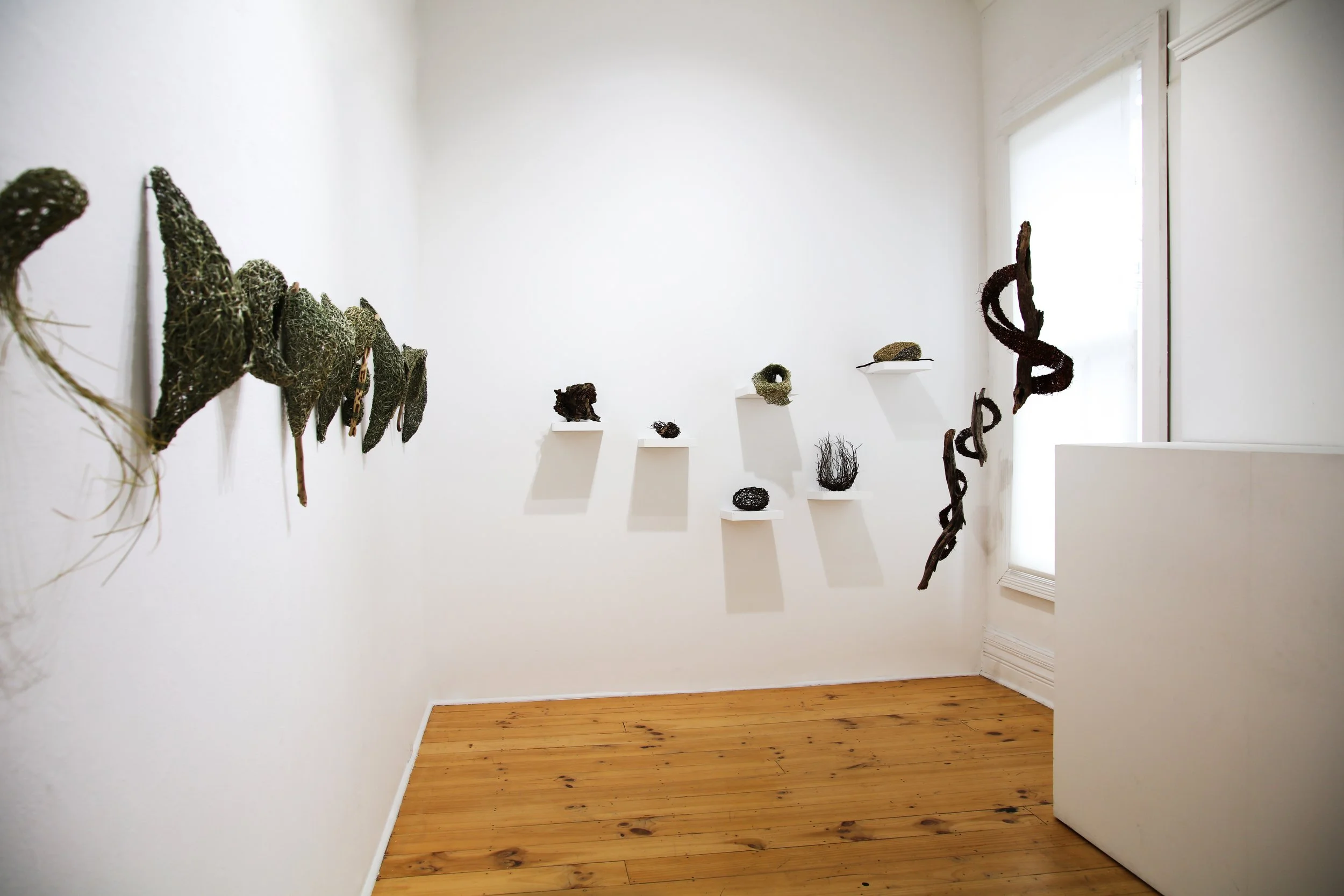 1A7A0079 copy.jpg