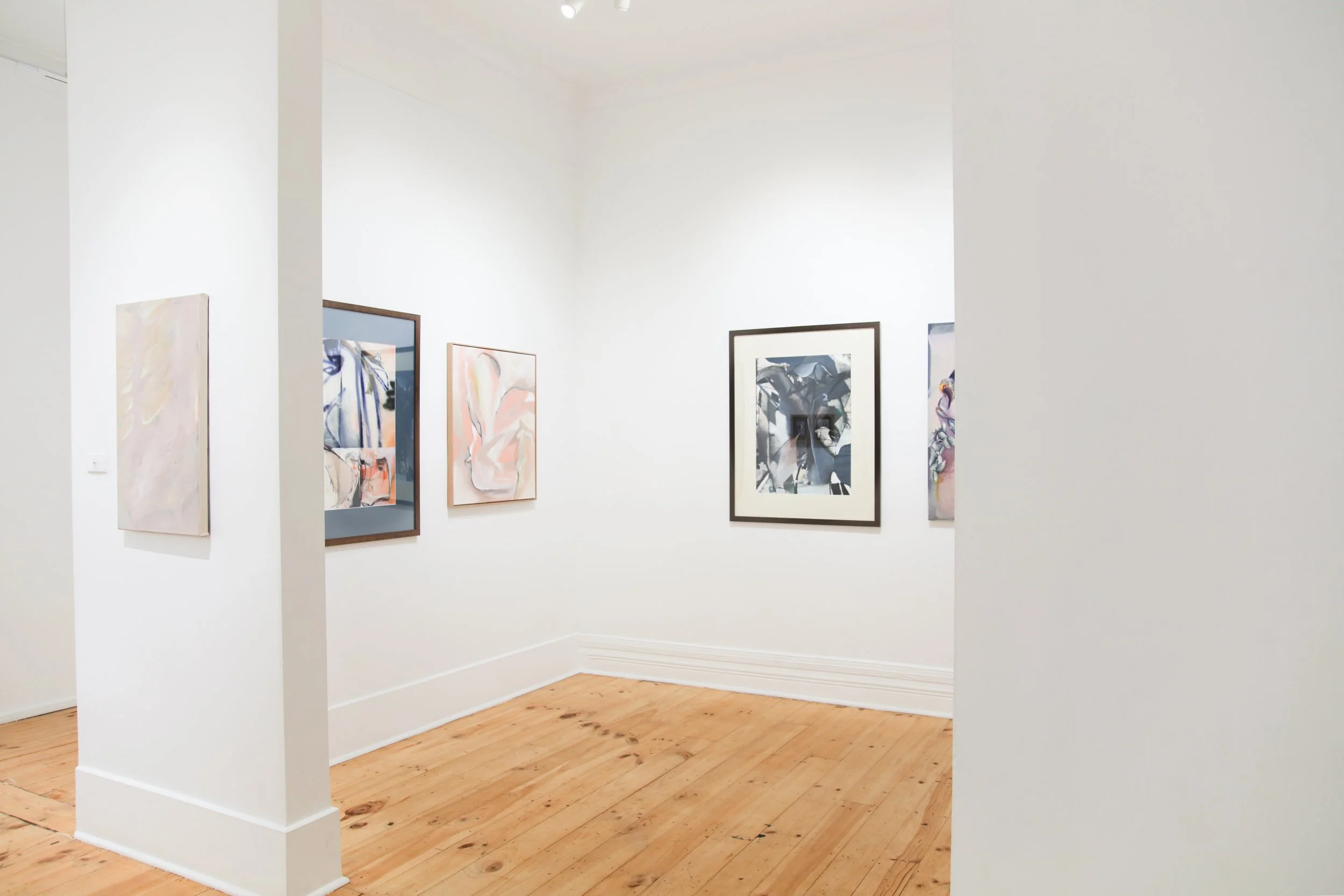 Amy Coopers_install_2.JPG