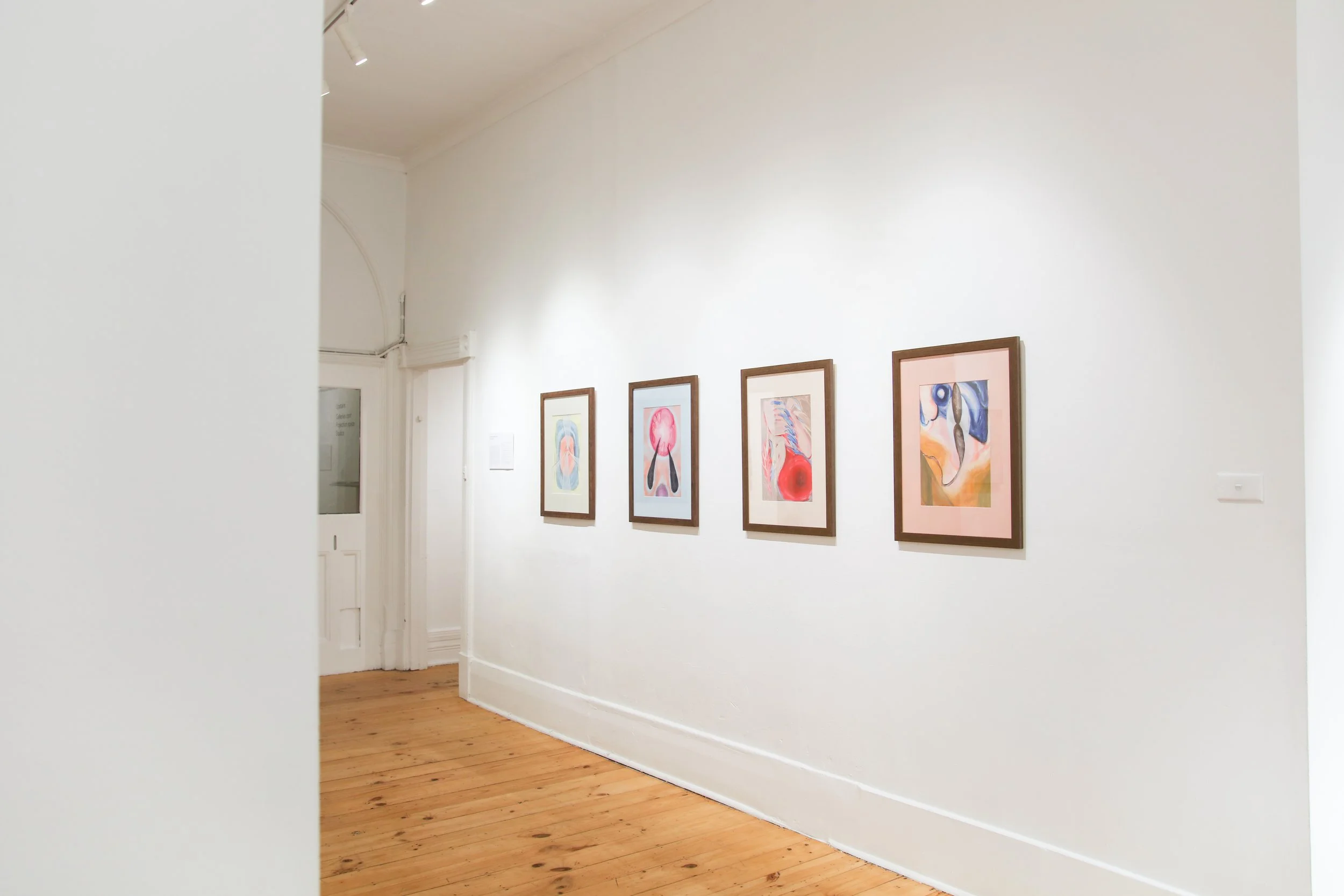 Amy Coopers_install_1.JPG