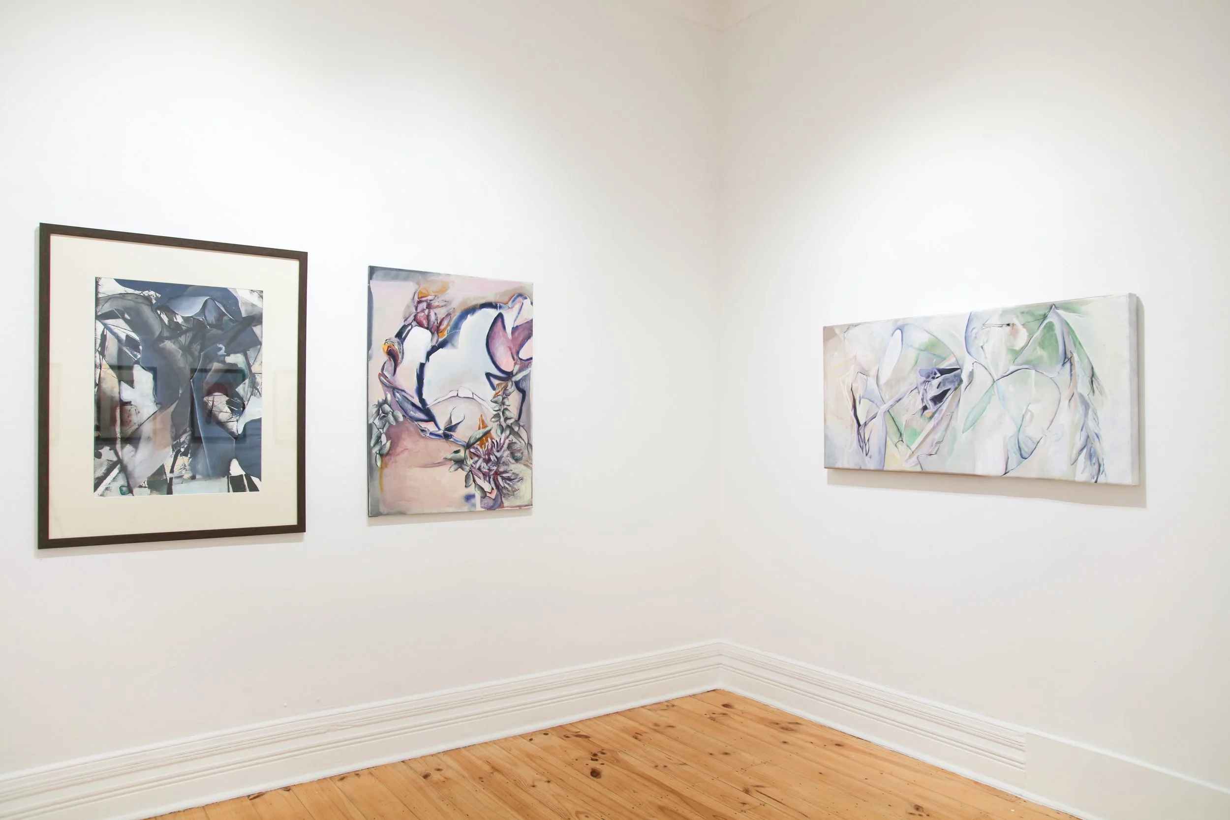 Amy Coopers_install_4.JPG