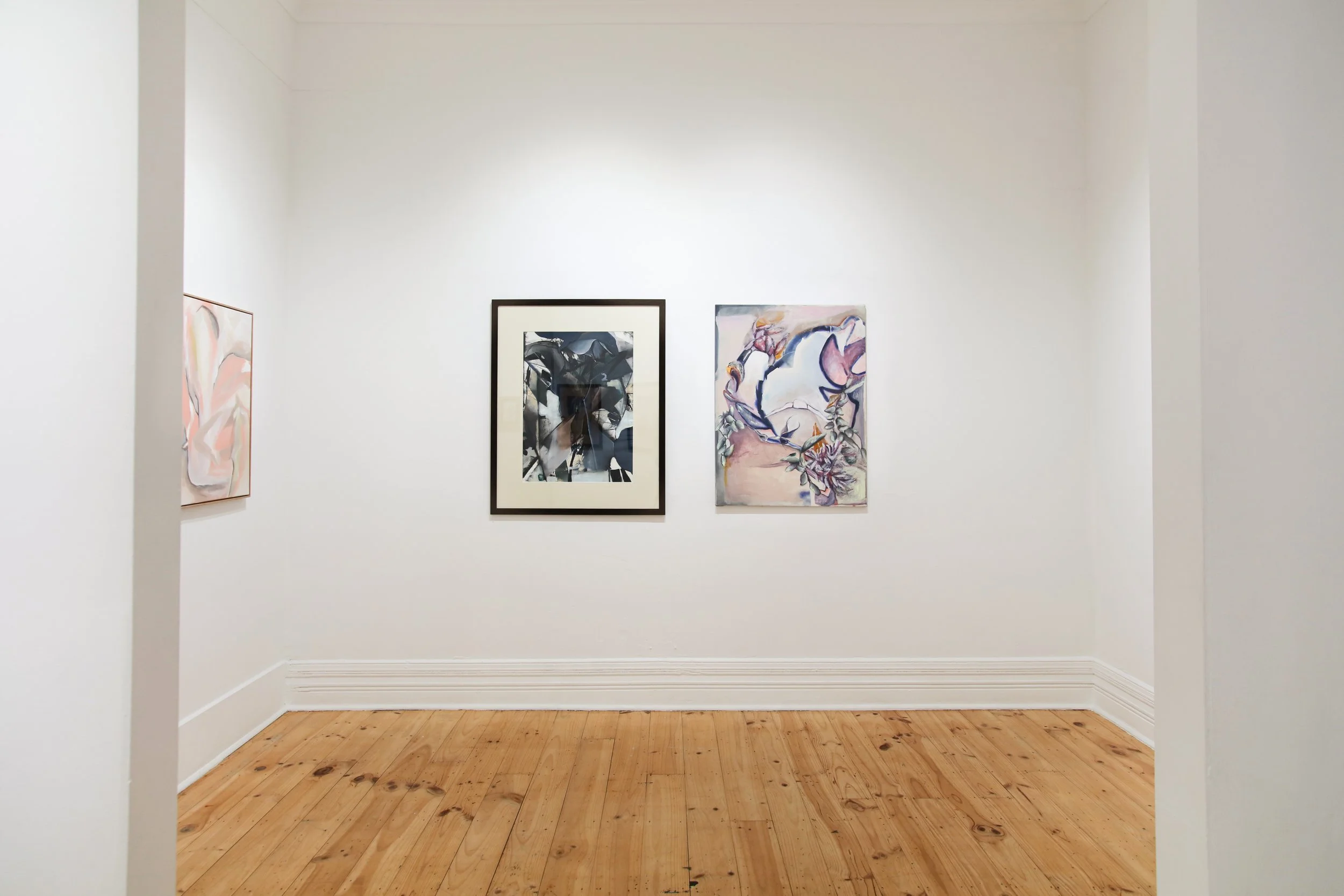 Amy Coopers_install_3.JPG
