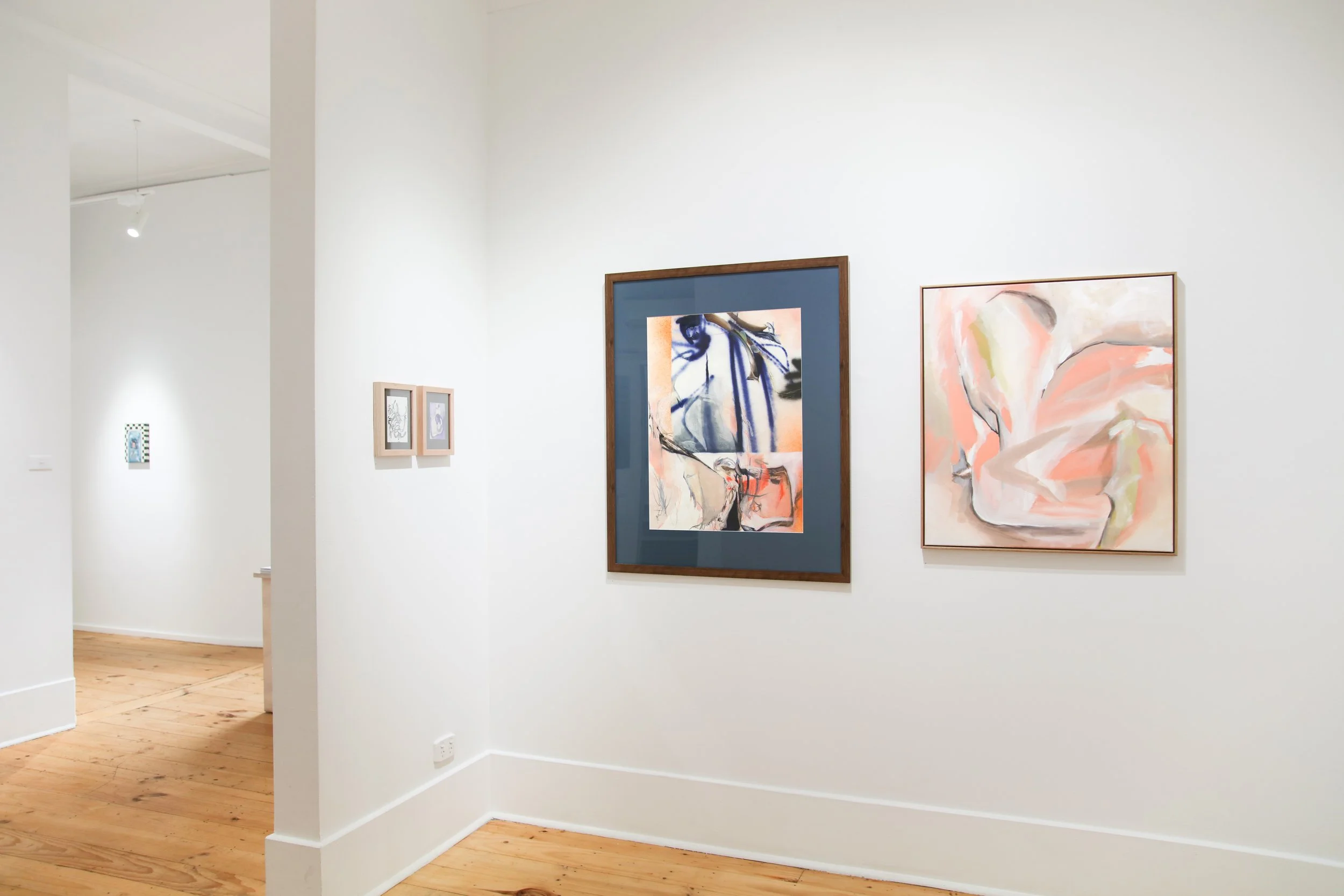 Amy Coopers_install_5.JPG