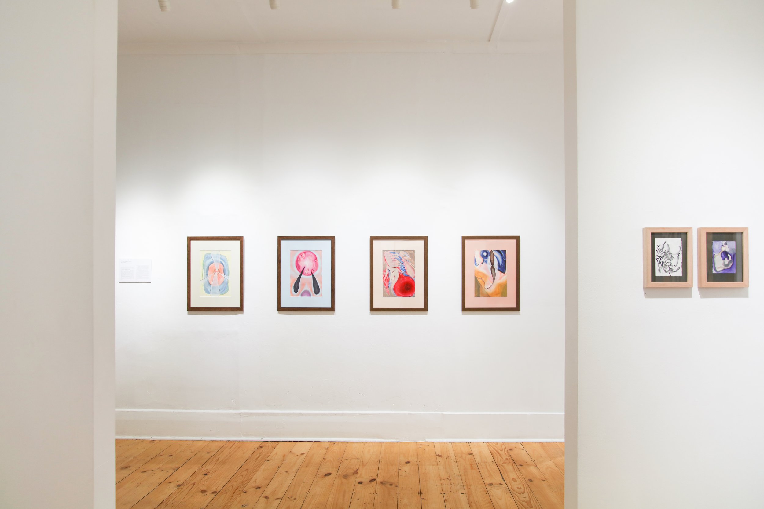 Amy Coopers_install_6.JPG