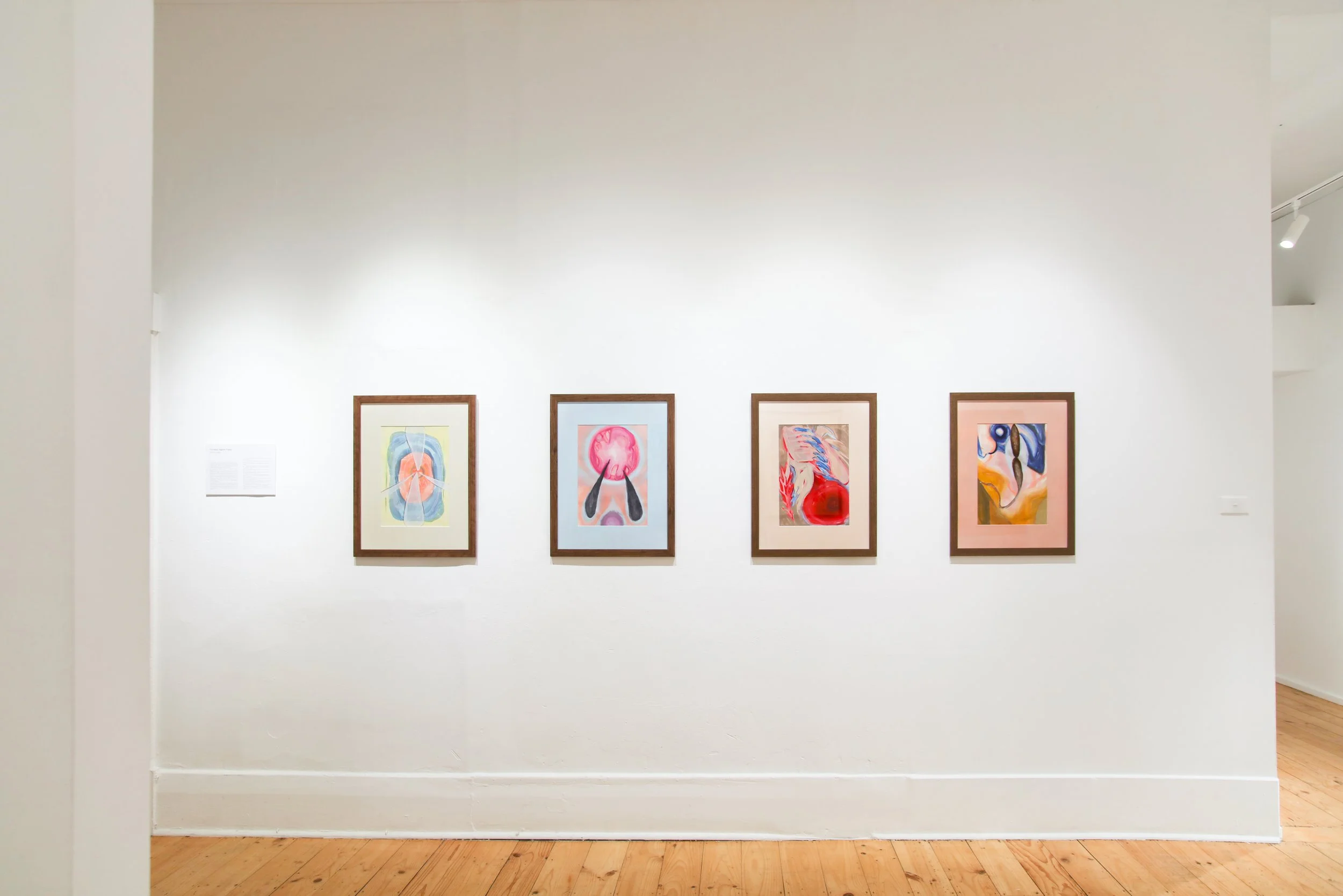 Amy Coopers_install_7.JPG