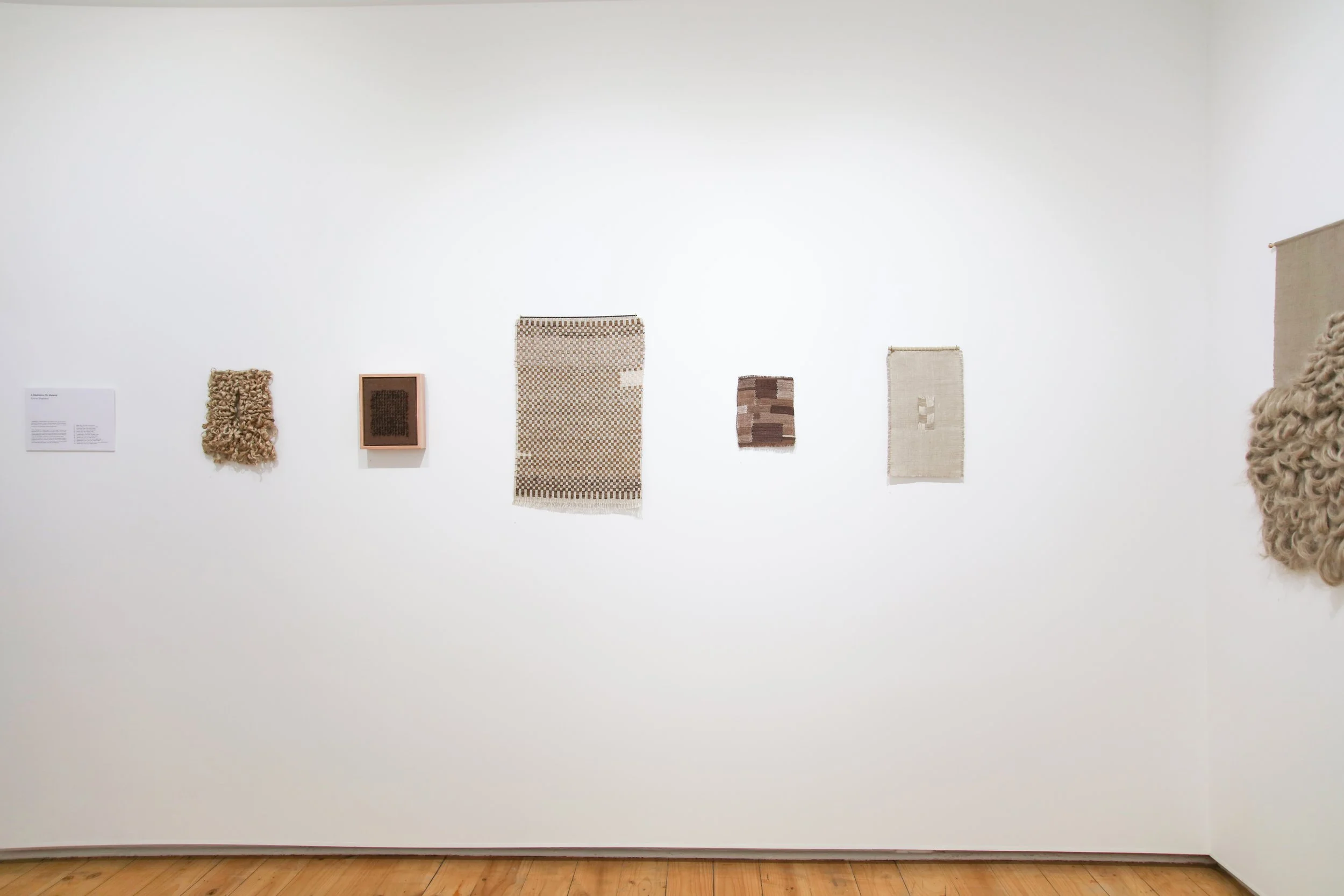 Emma Shepherd_install_8.JPG