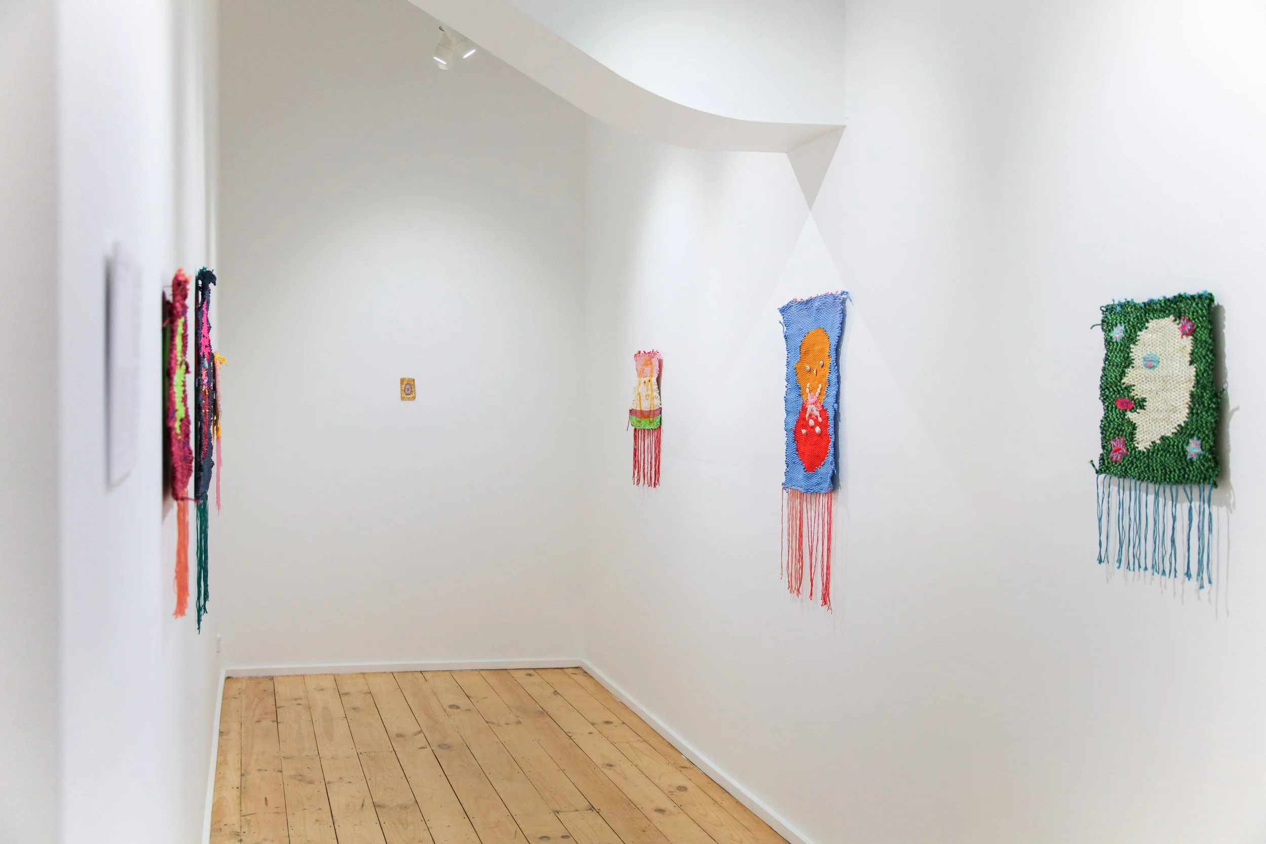 Carla Adams_install_1.JPG