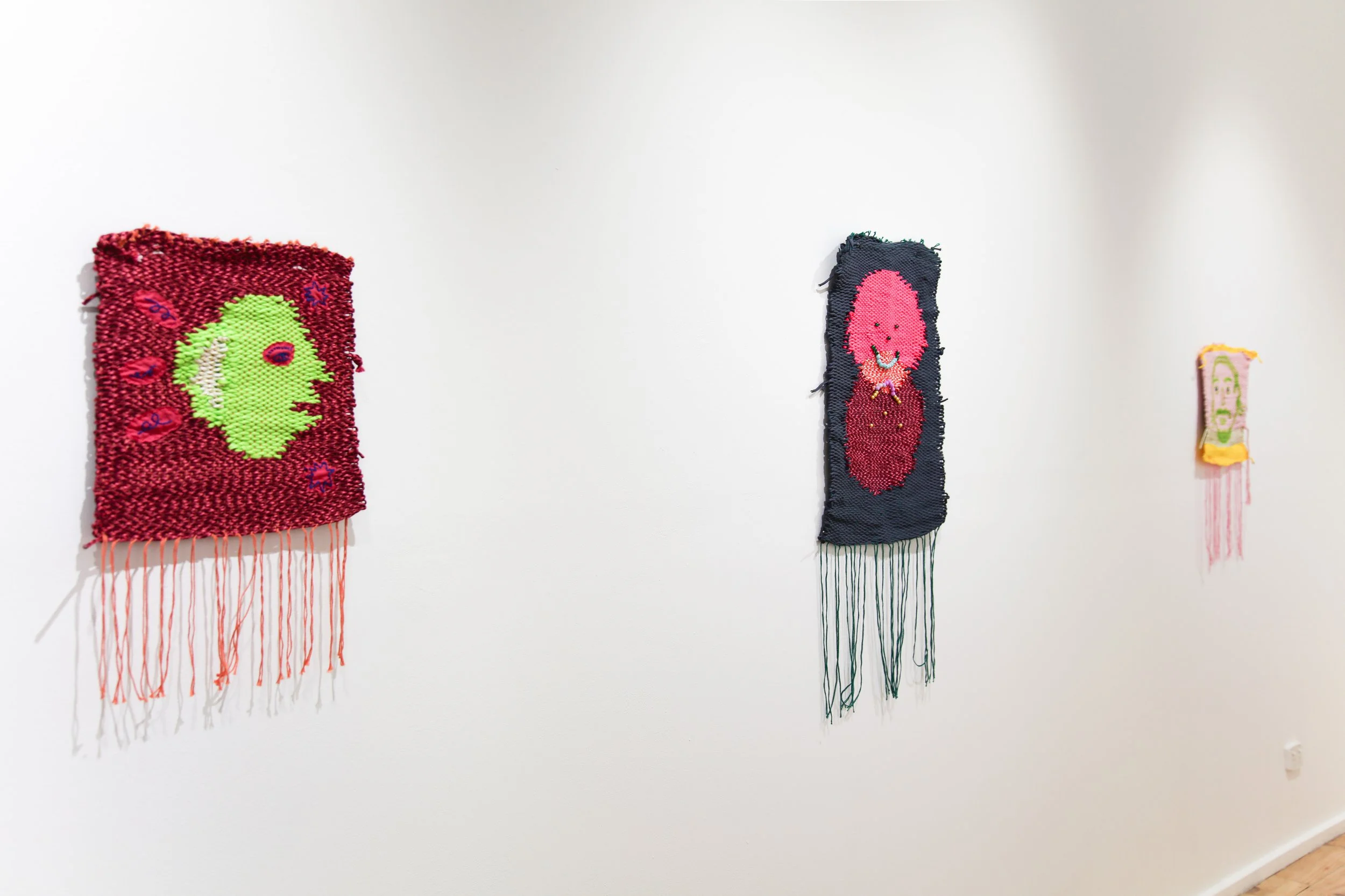 Carla Adams_install_3.JPG