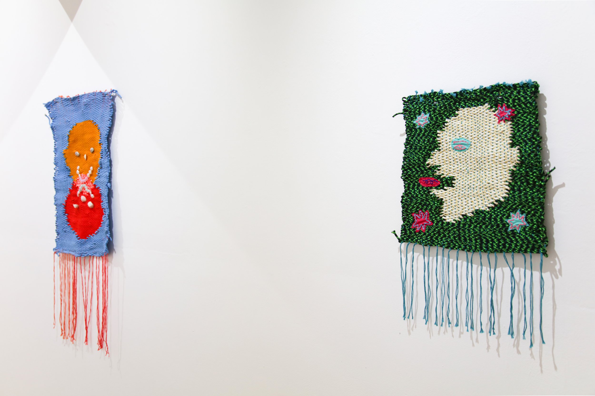 Carla Adams_install_6.JPG
