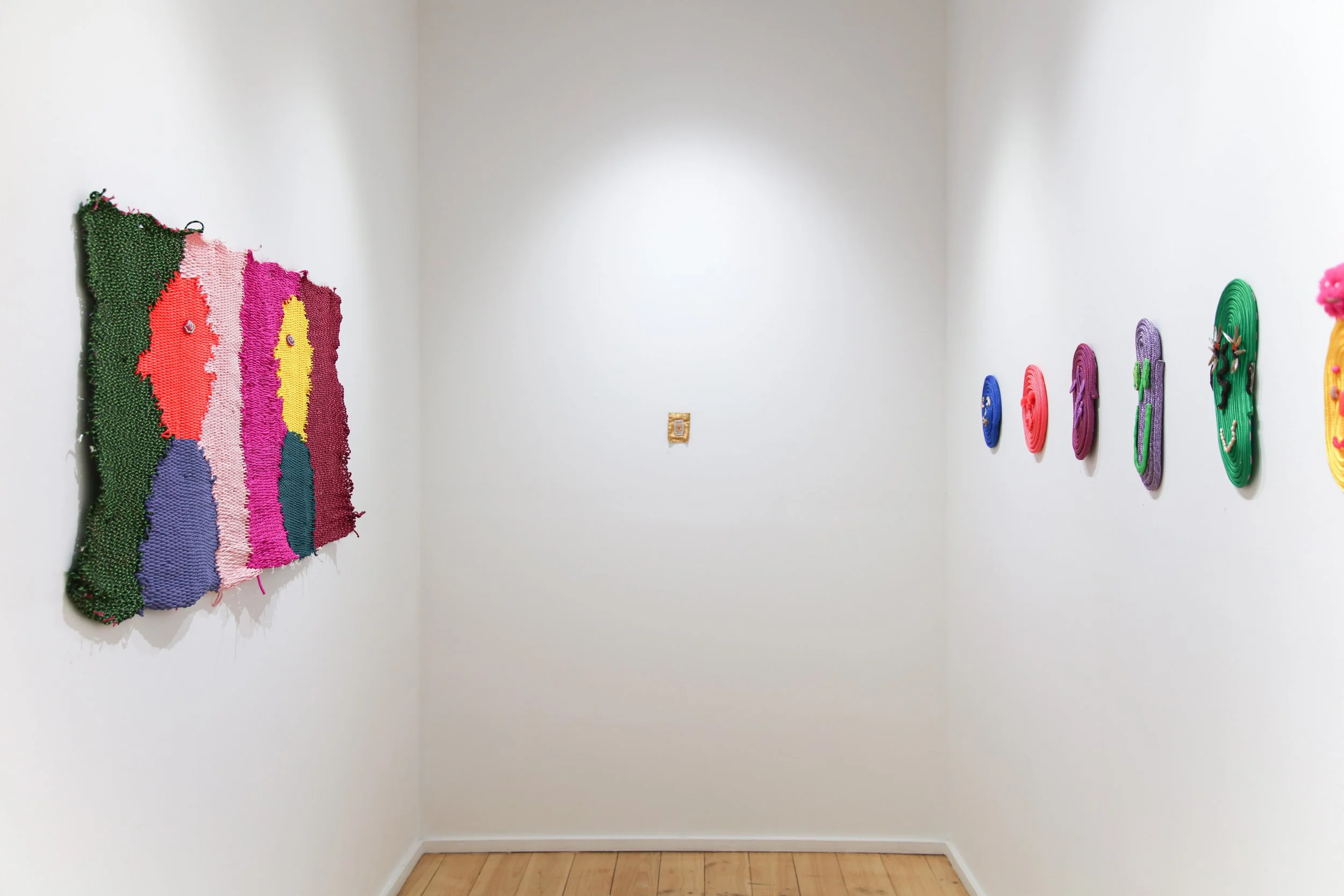 Carla Adams_install_7.JPG