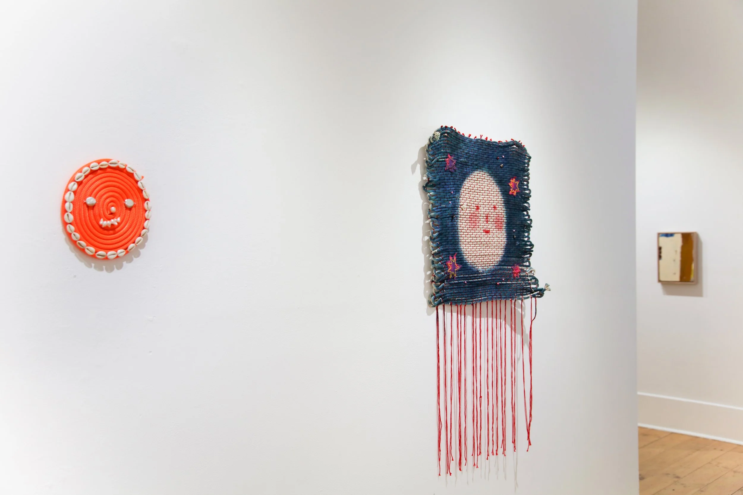 Carla Adams_install_9.JPG