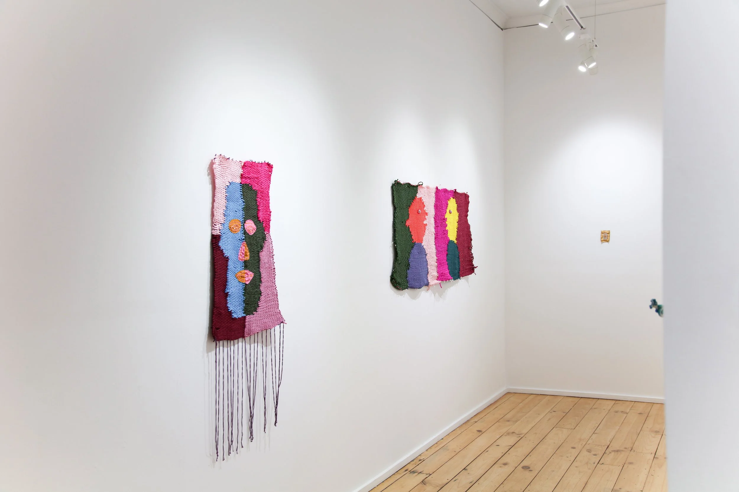 Carla Adams_install_10.JPG