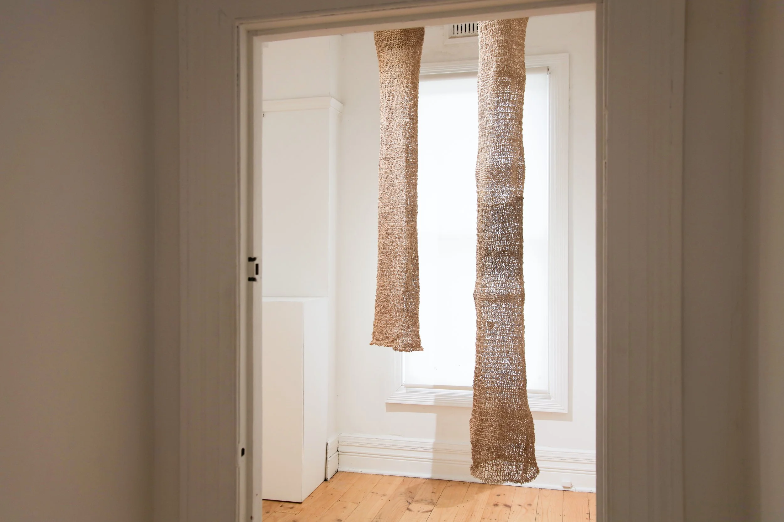 Susan Cabassi_install_2.JPG