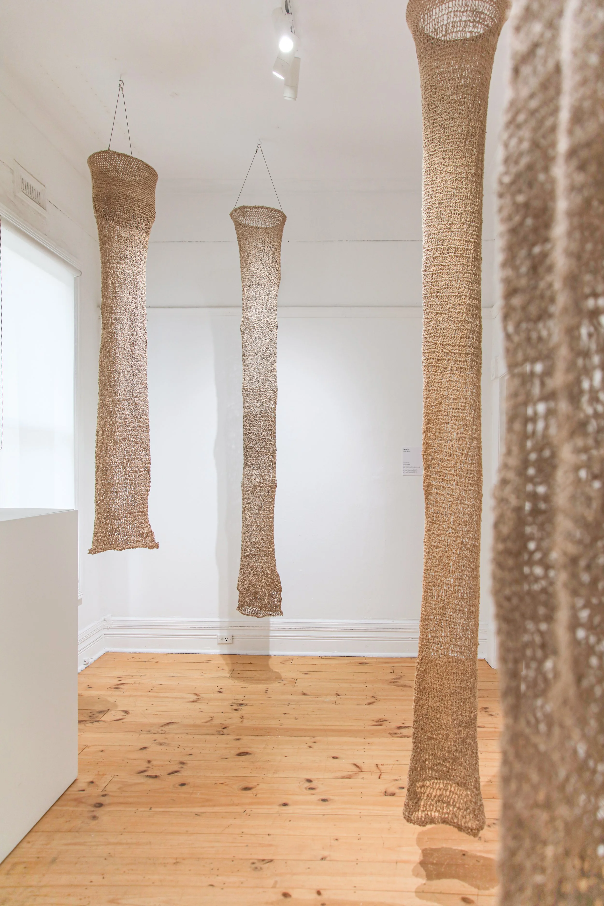 Susan Cabassi_install_6.JPG